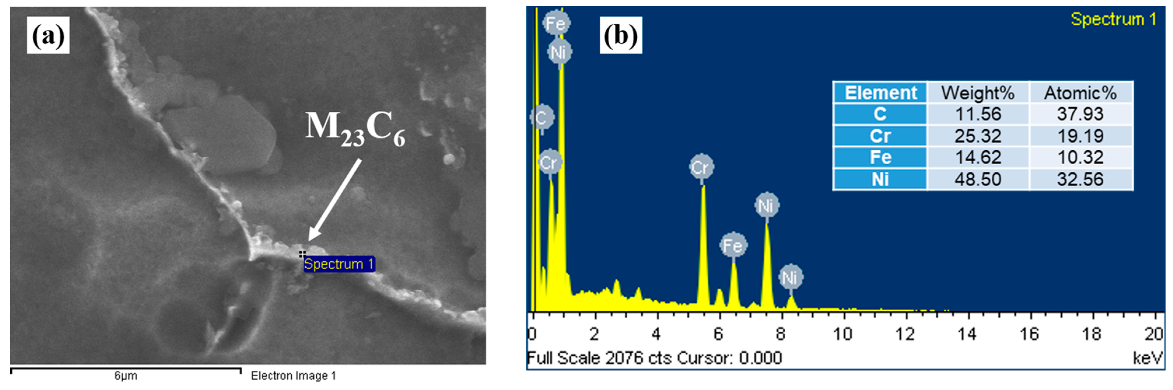 Coatings 13 00340 g005 Coatings 13 00340 g005