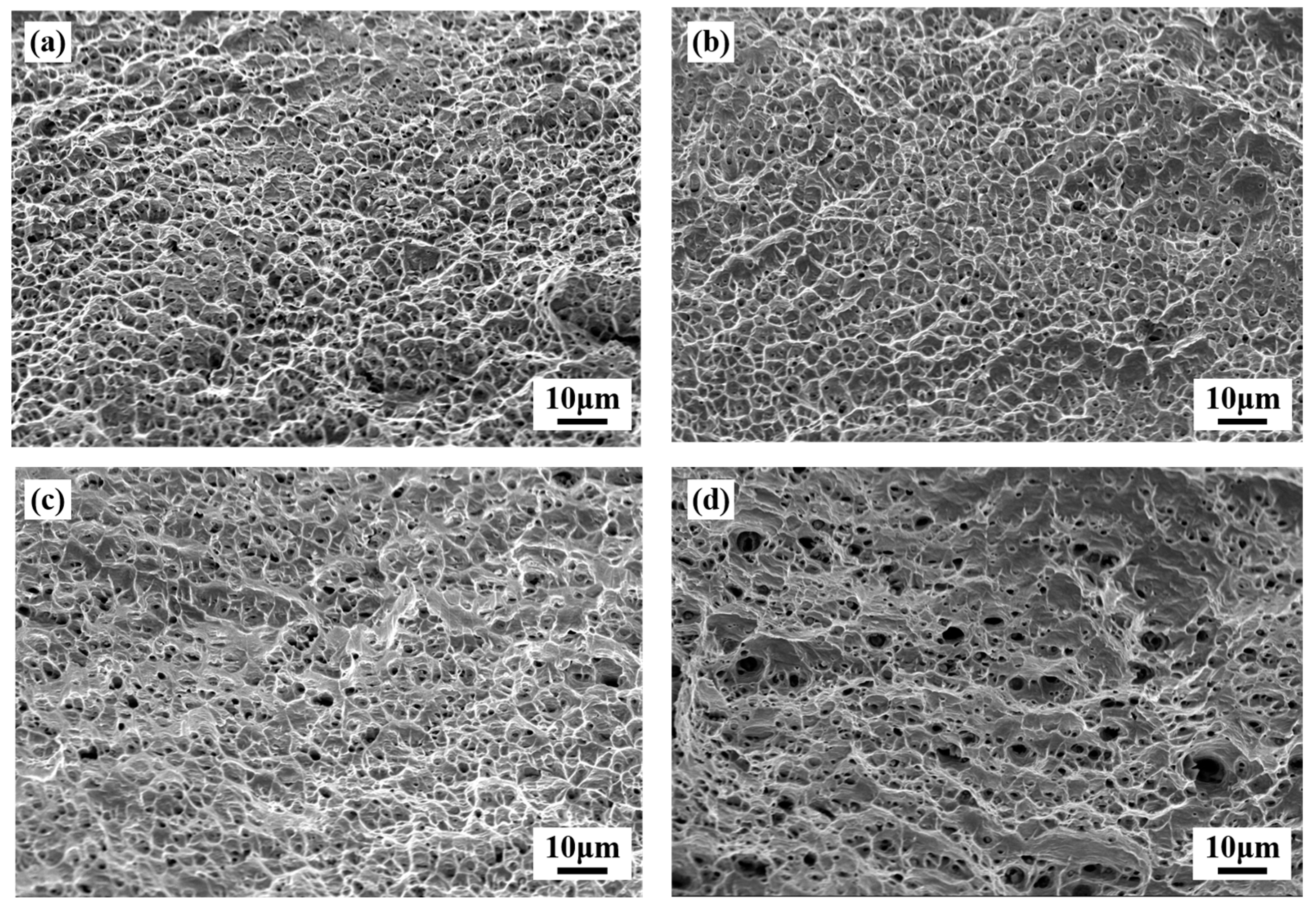 Coatings 13 00340 g009 Coatings 13 00340 g009
