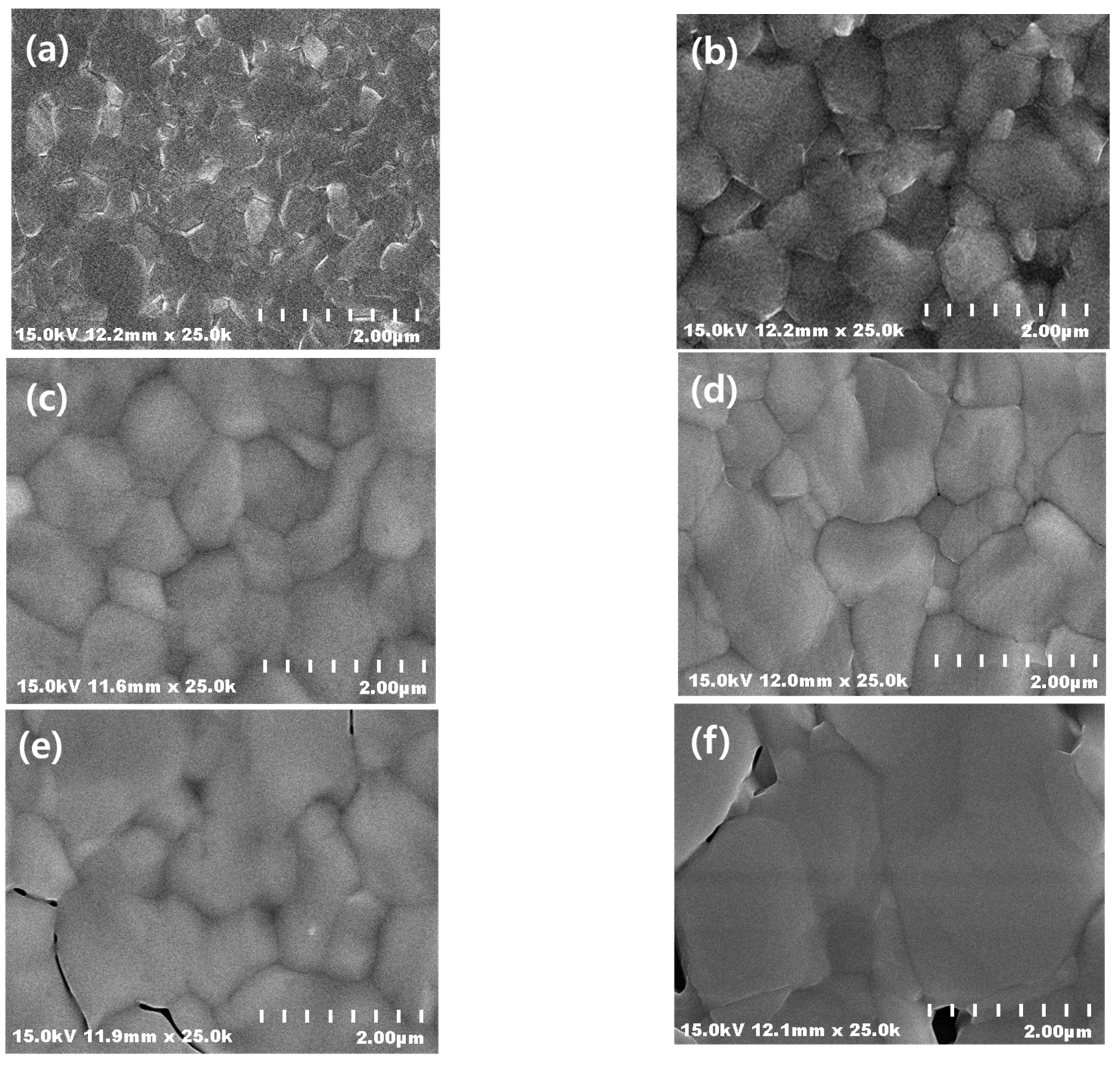 Coatings 13 00341 g002a 550