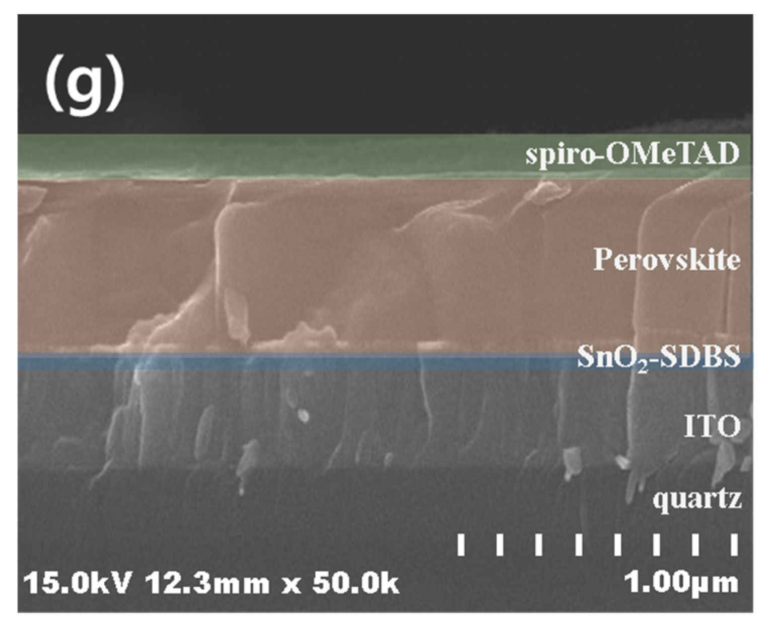 Coatings 13 00341 g002b 550