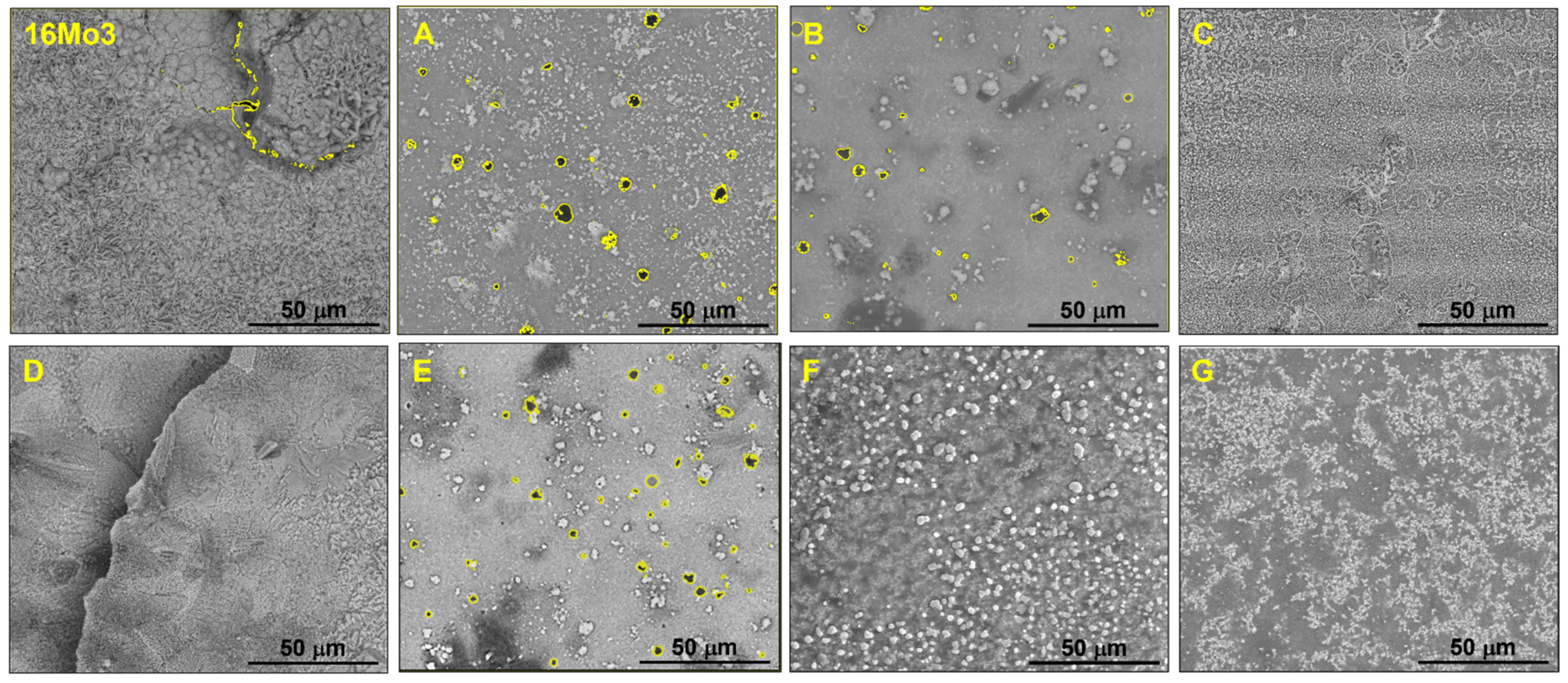 Coatings 13 00342 g005 Coatings 13 00342 g005