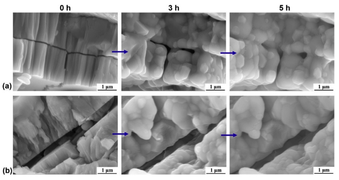 Coatings 13 00343 g017 Coatings 13 00343 g017