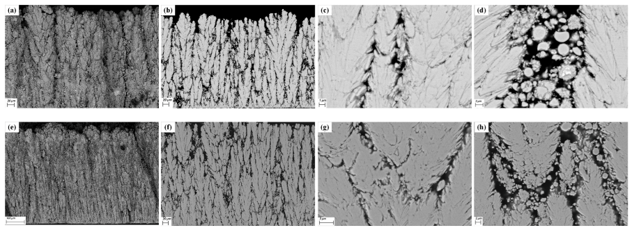 Coatings 13 00343 g031 Coatings 13 00343 g031