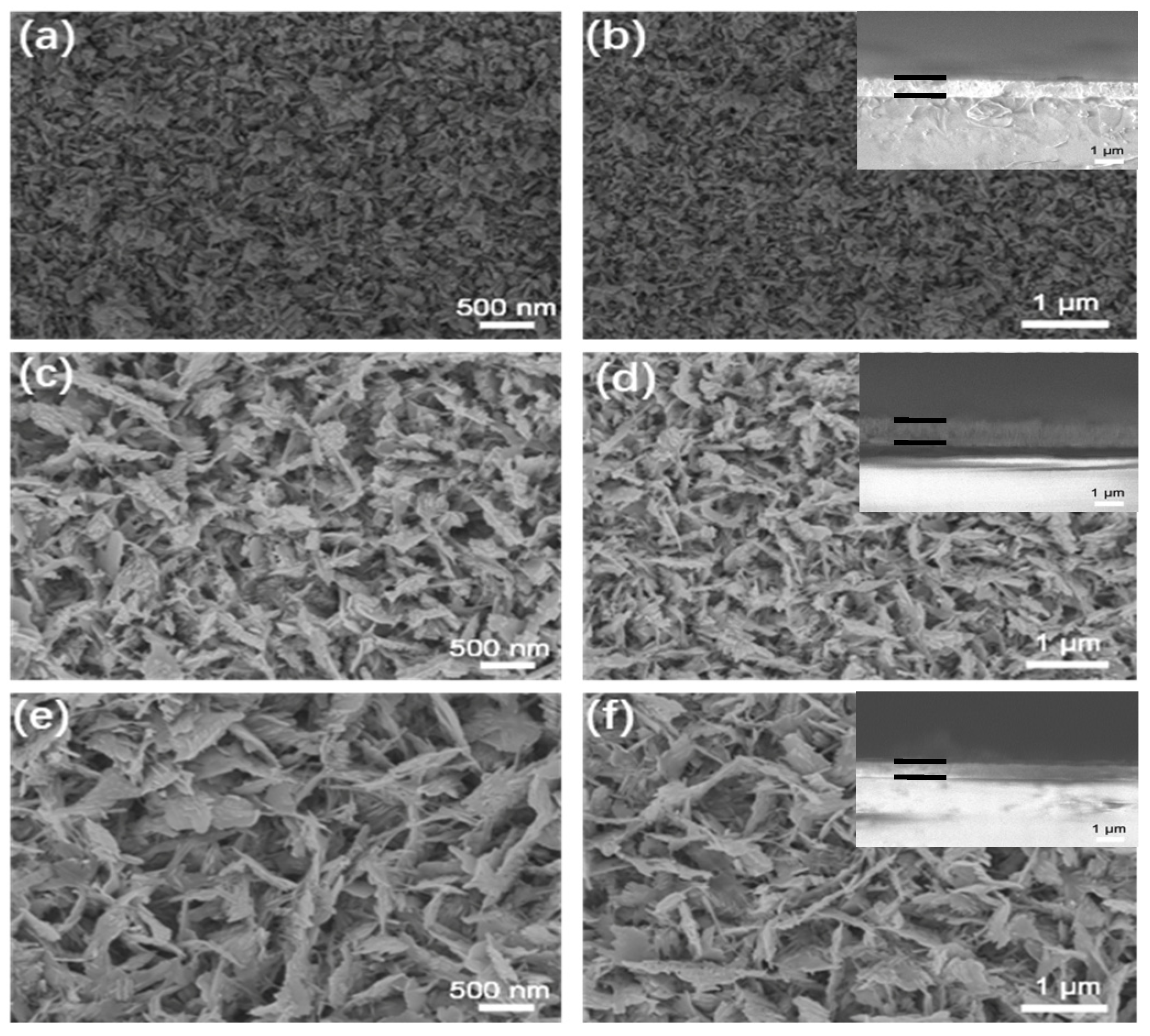 Coatings 13 00344 g002 550