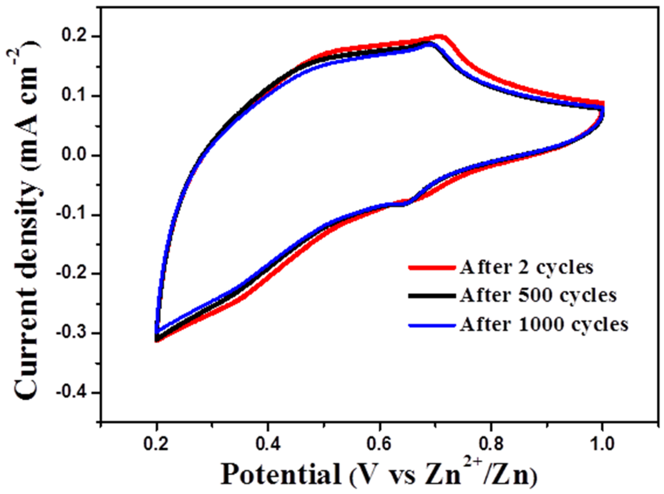 Coatings 13 00344 g006 550