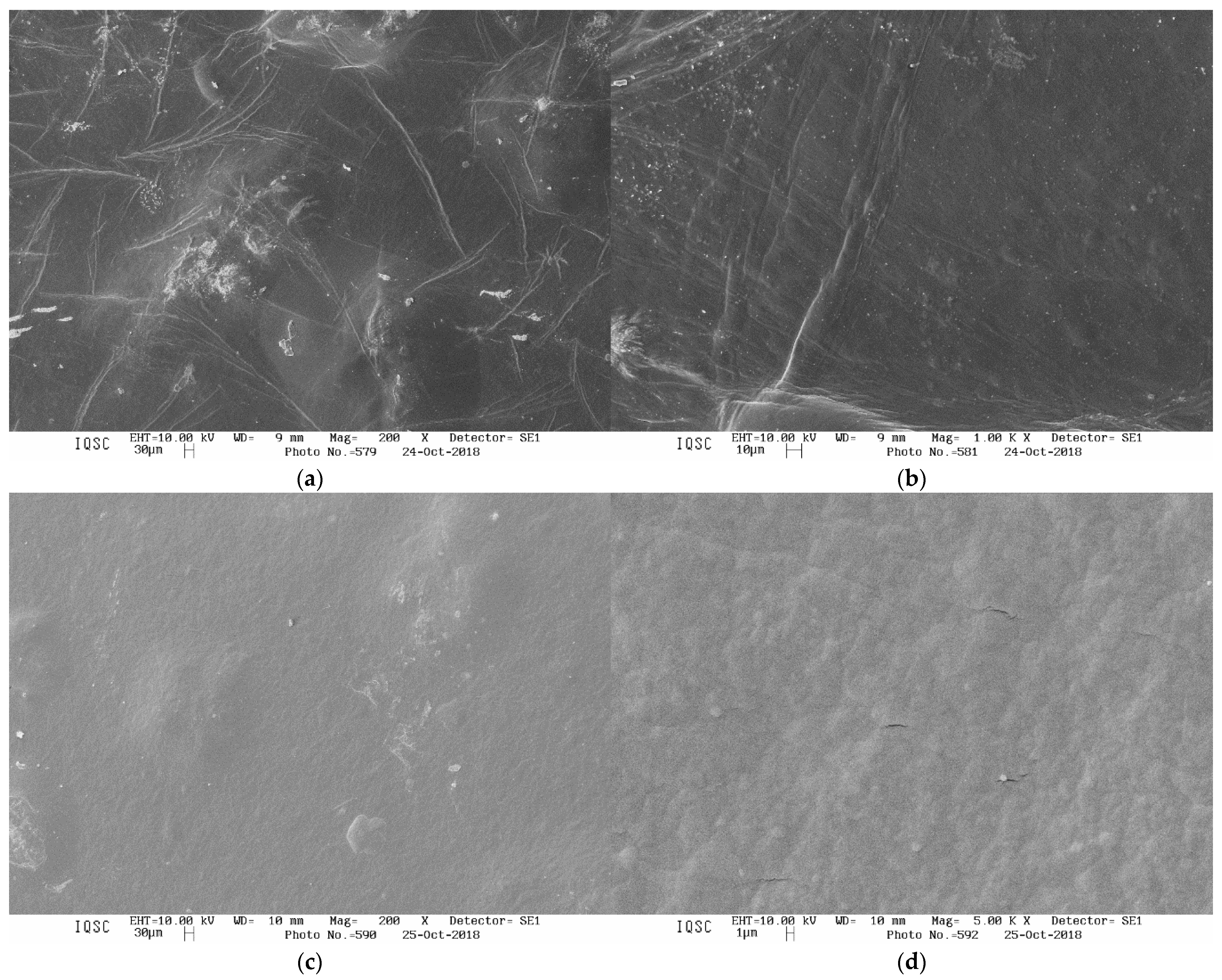 Coatings 13 00350 g003 Coatings 13 00350 g003