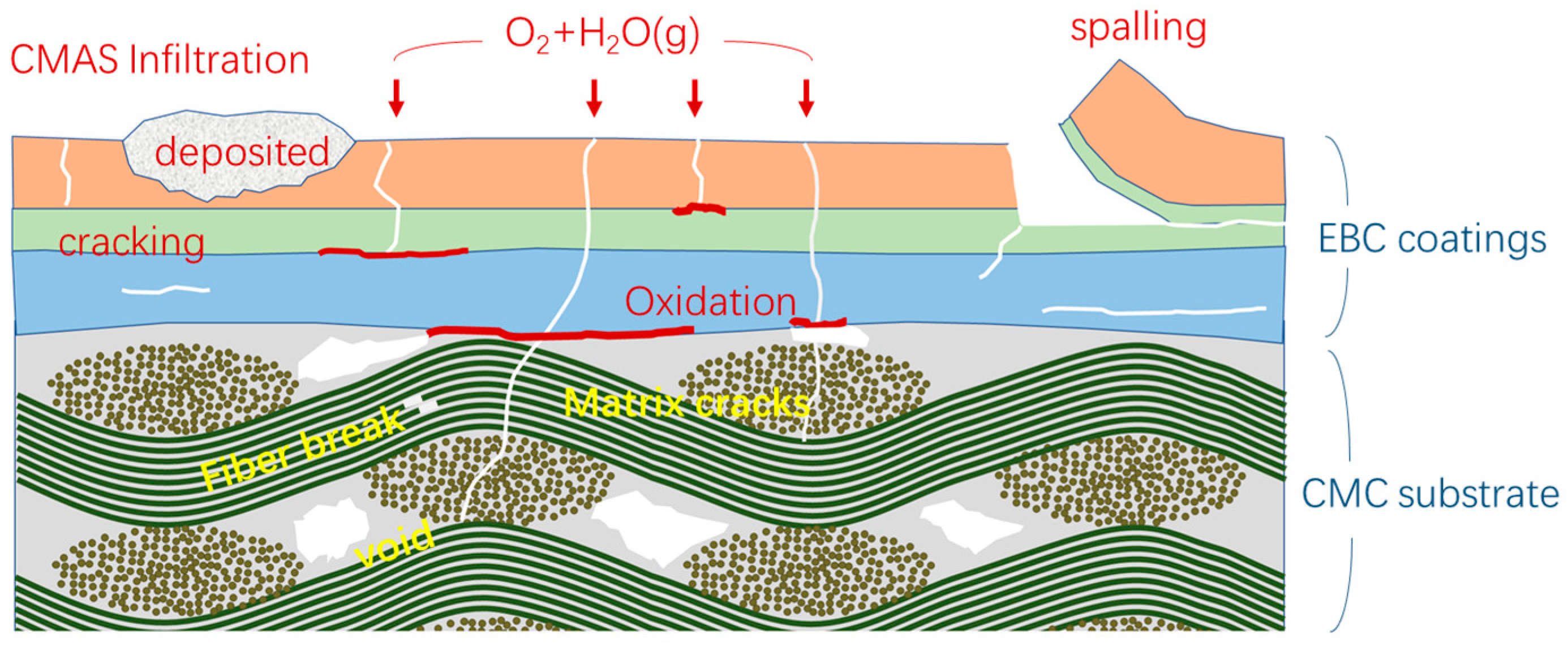 Coatings 13 00357 g005 550