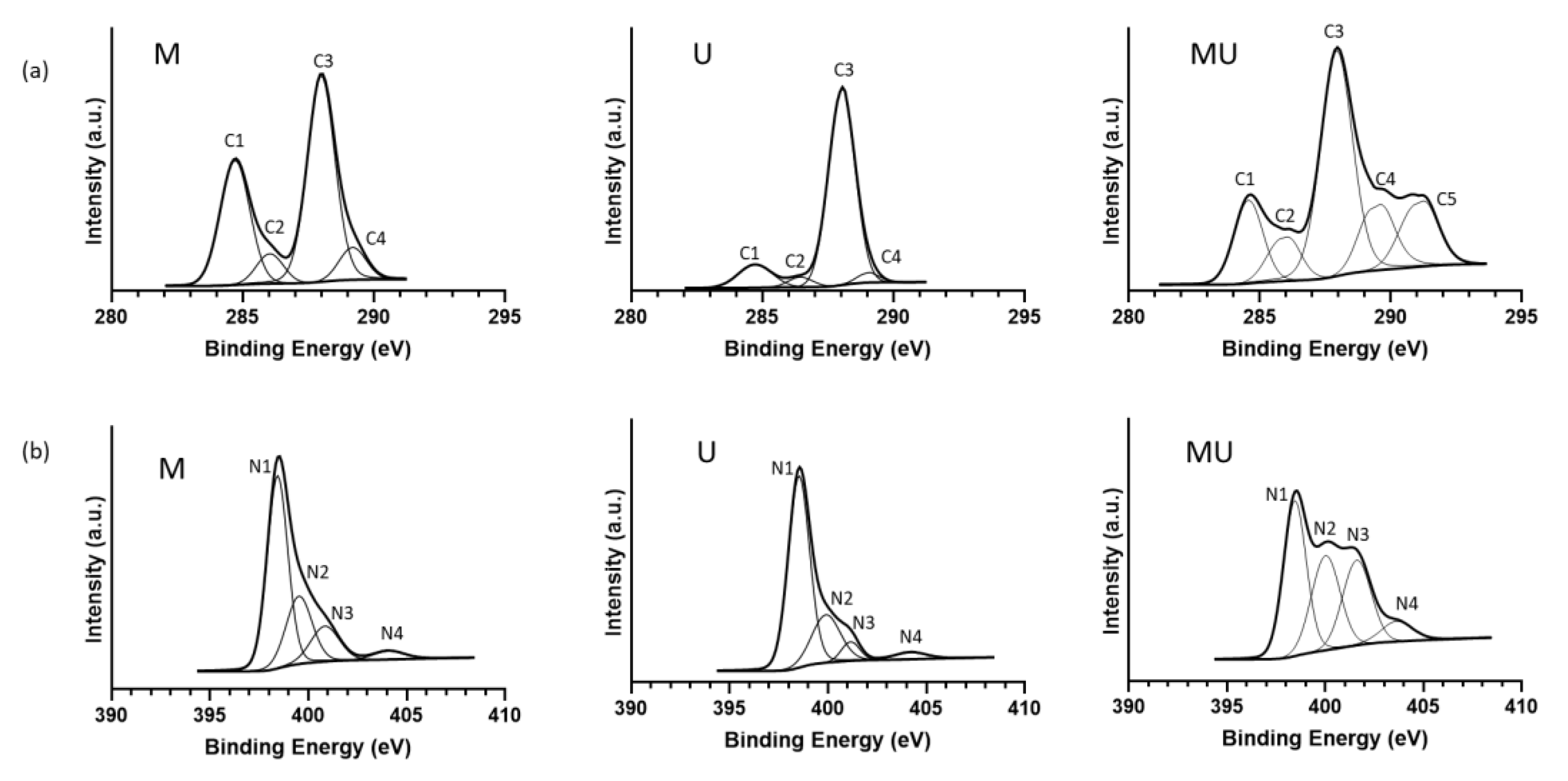 Coatings 13 00358 g004