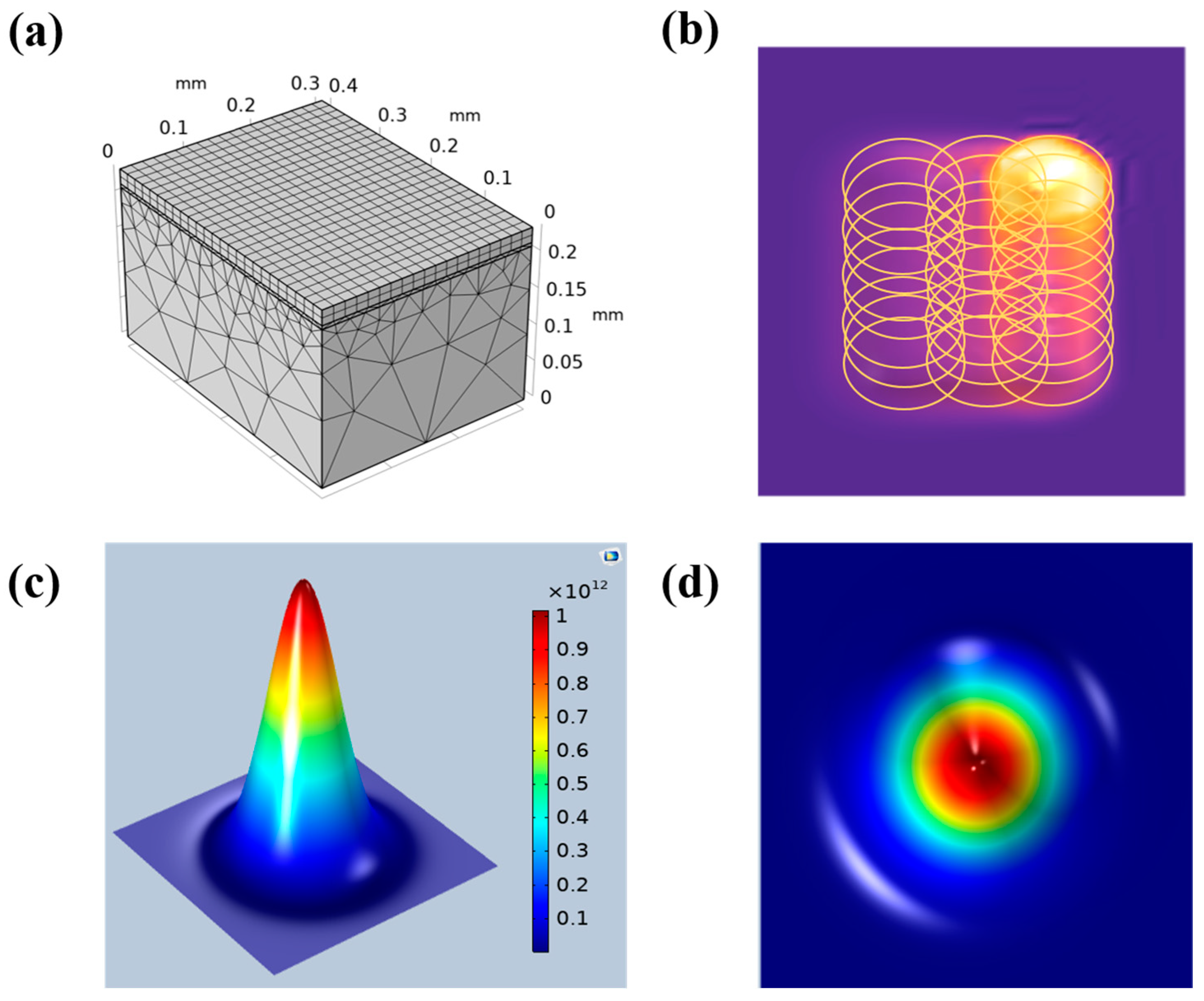 Coatings 13 00359 g002 550