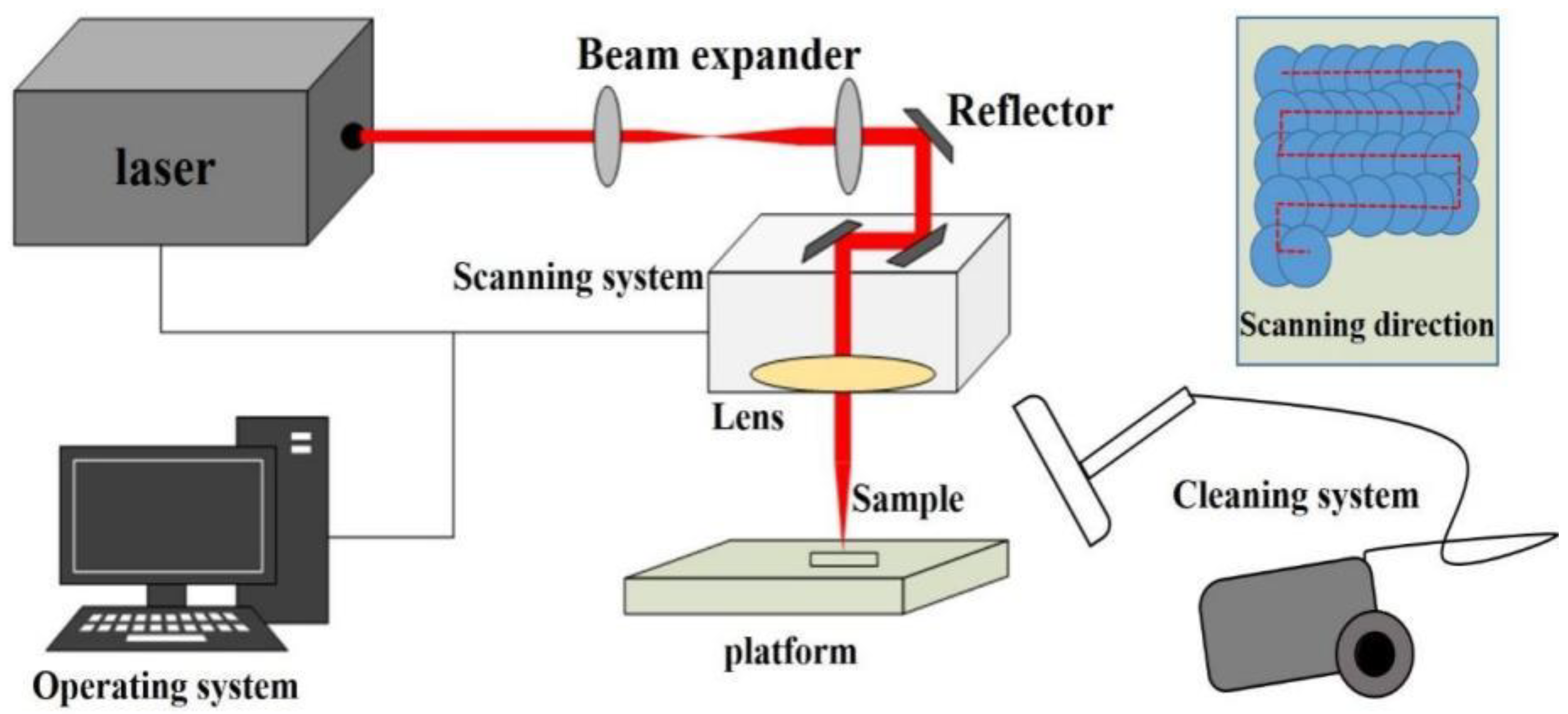 Coatings 13 00359 g003 550