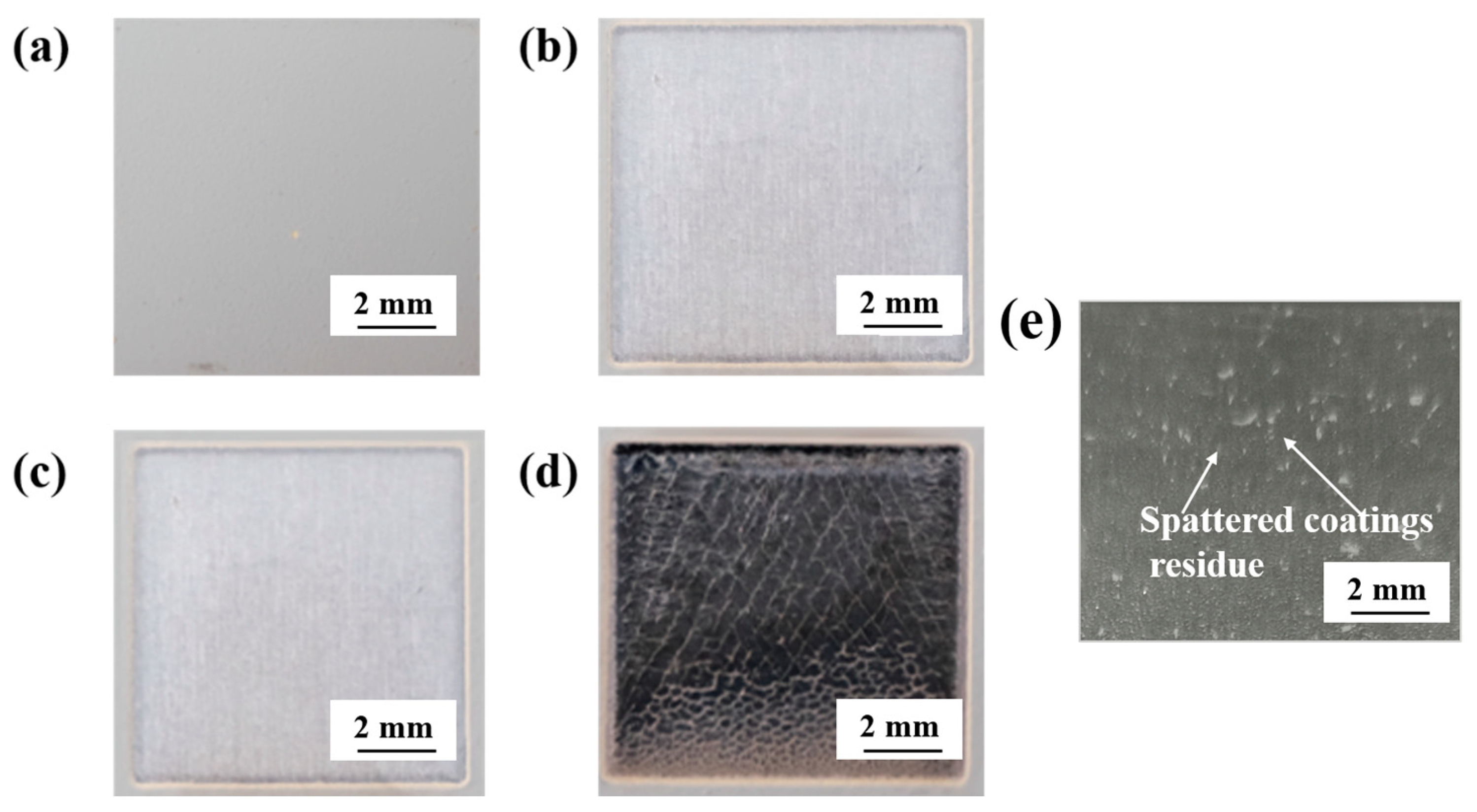 Coatings 13 00359 g007 550