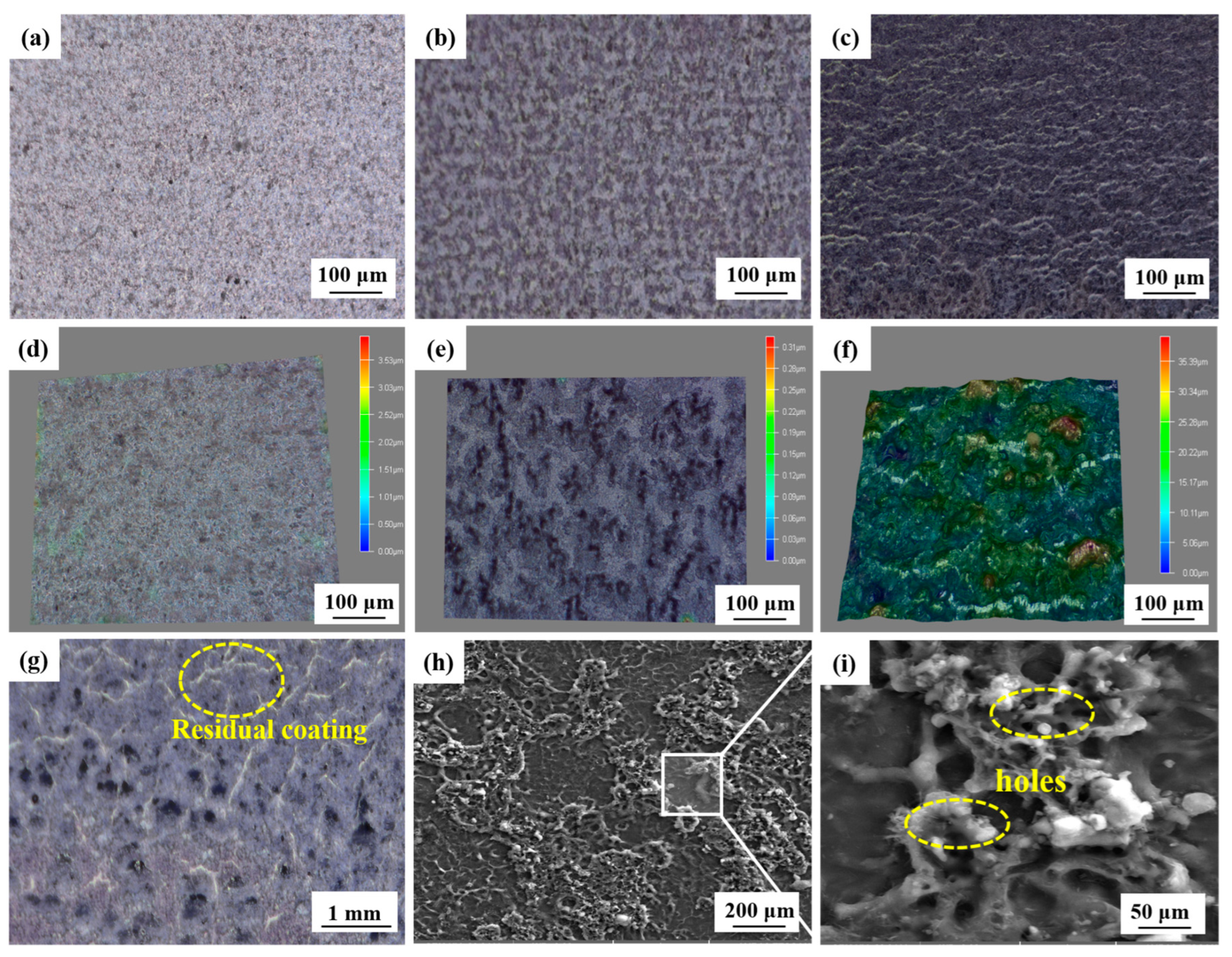 Coatings 13 00359 g008 550