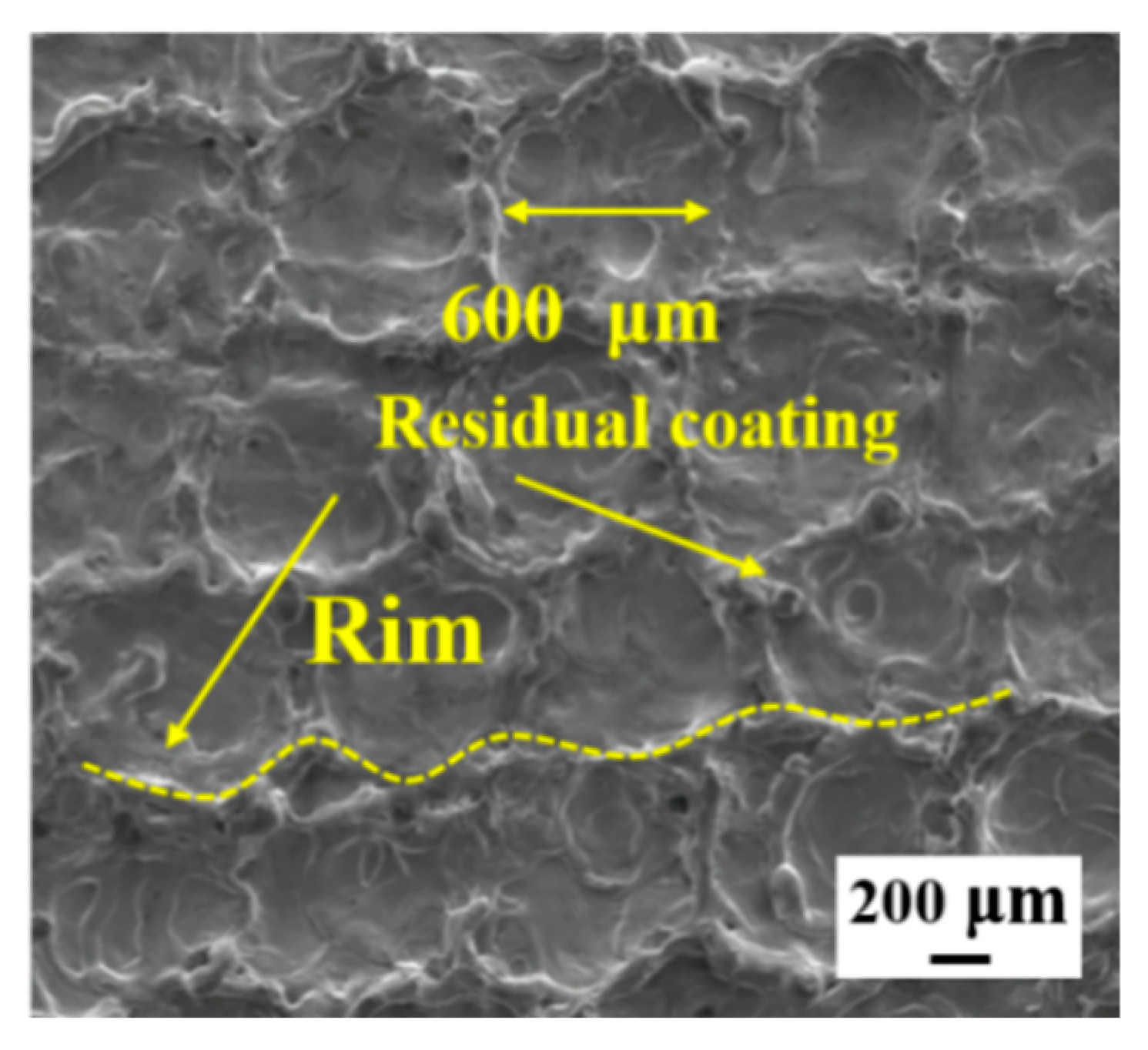 Coatings 13 00359 g010 550