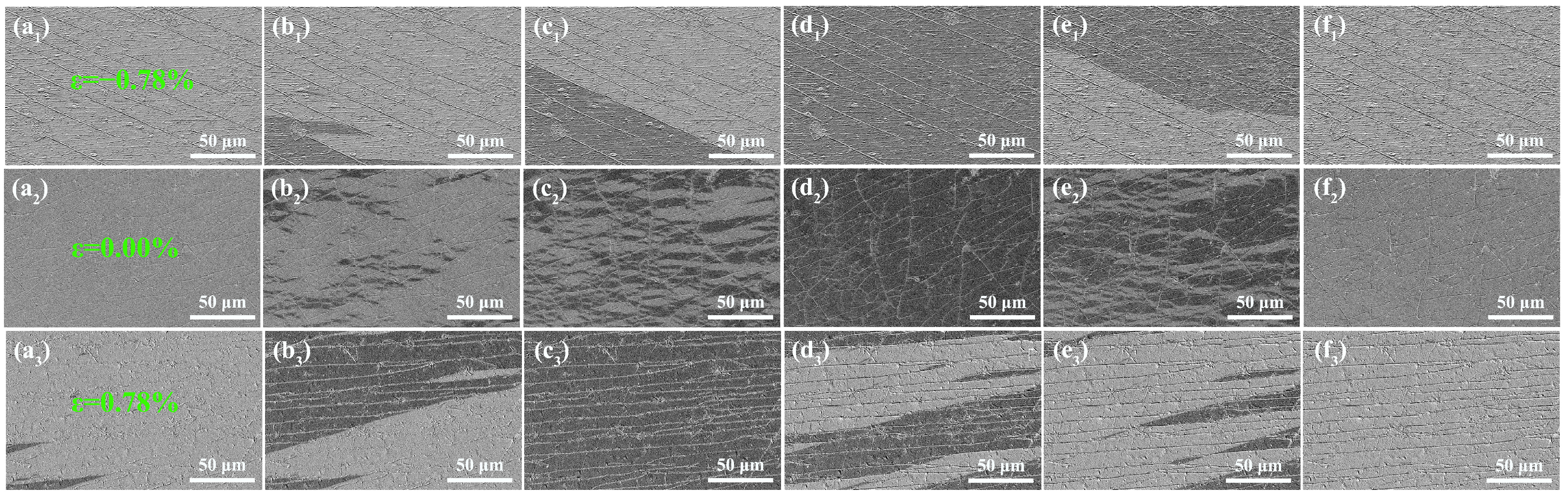 Coatings 13 00363 g007 Coatings 13 00363 g007