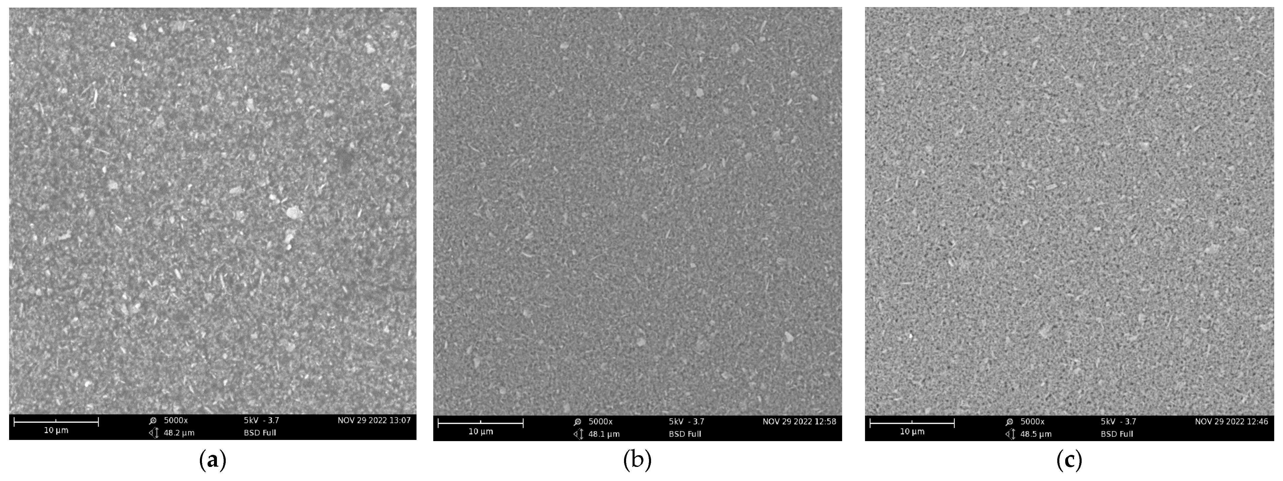 Coatings 13 00364 g002 Coatings 13 00364 g002
