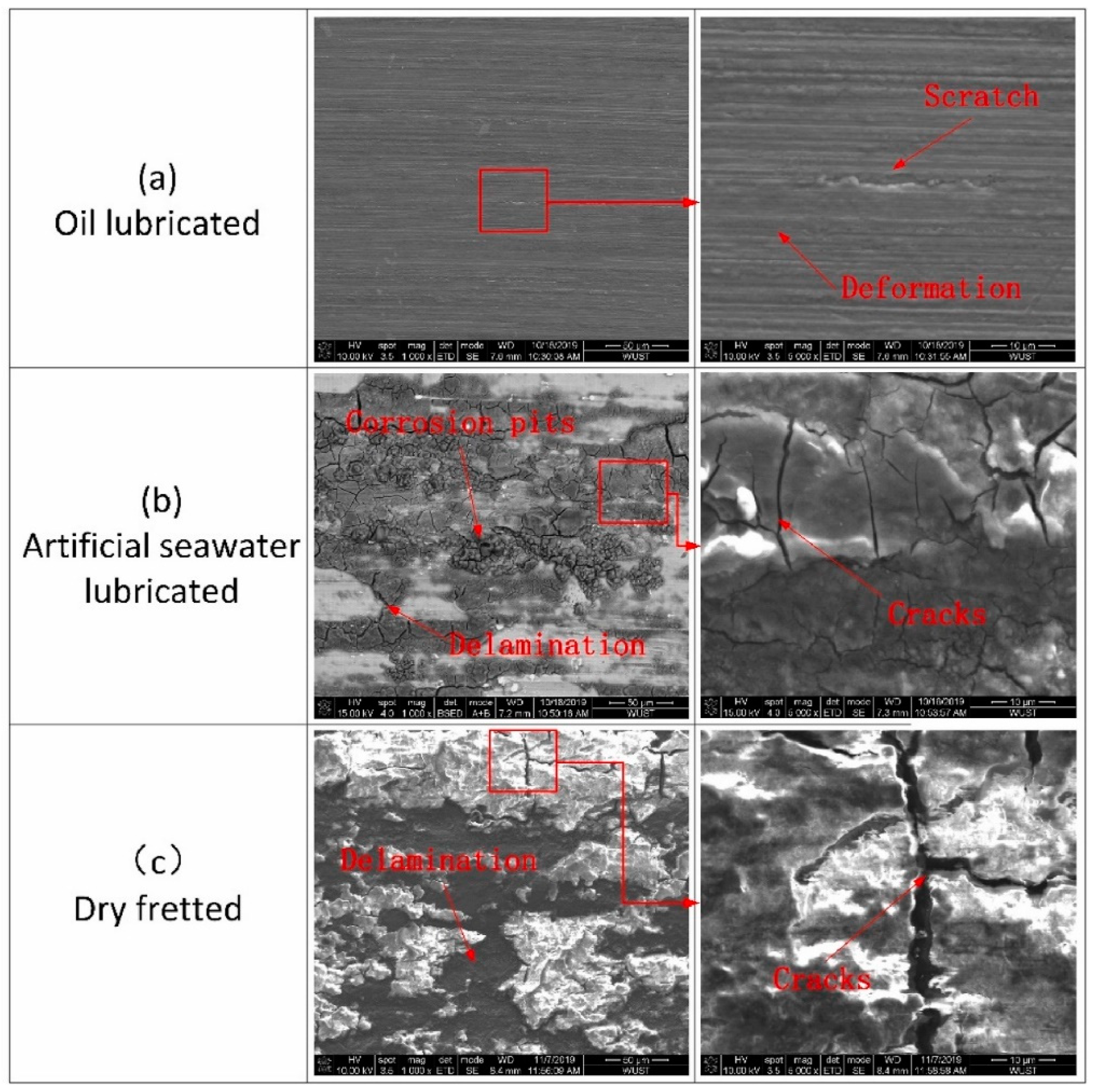 Coatings 13 00365 g003 Coatings 13 00365 g003