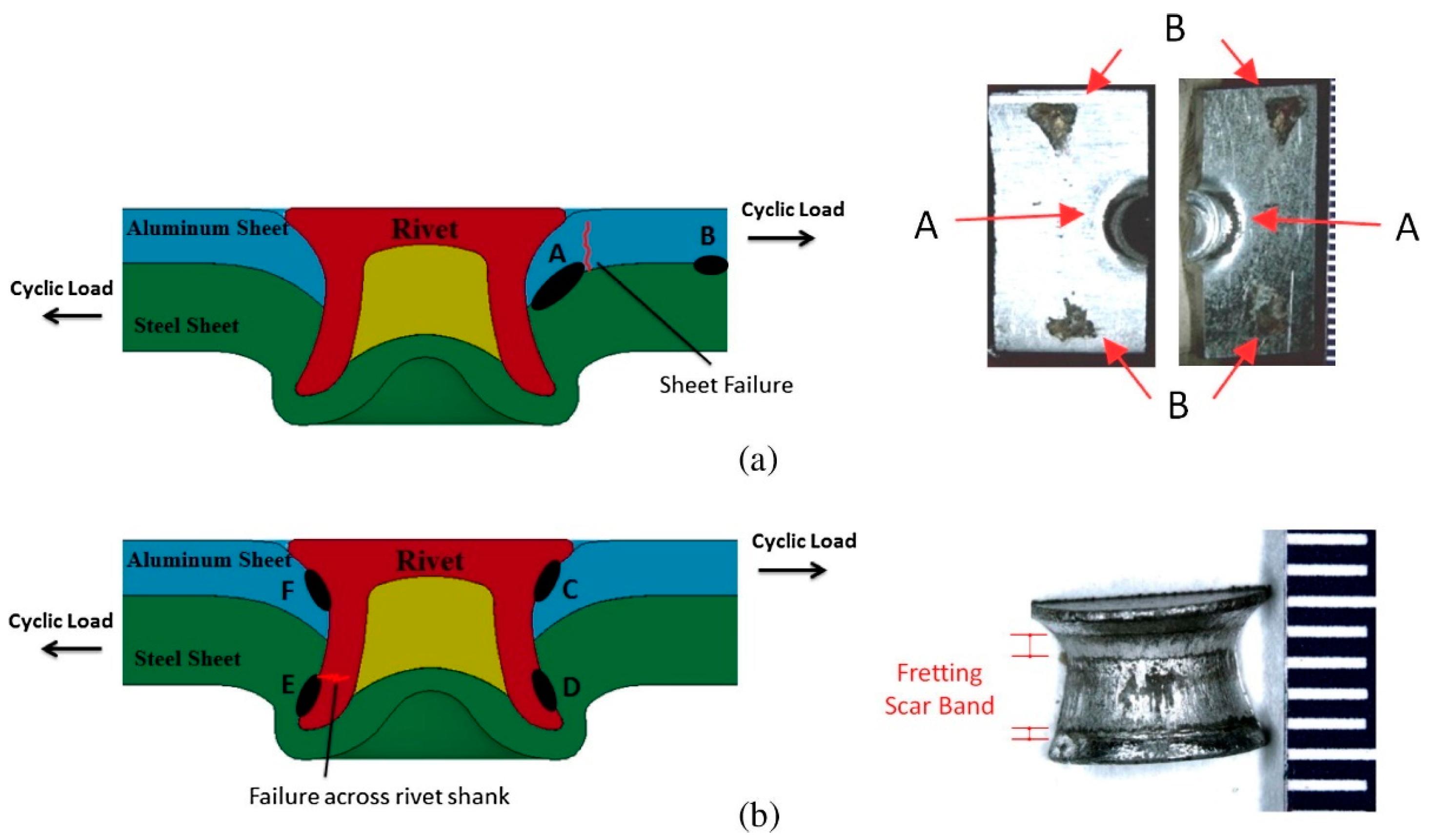 Coatings 13 00365 g014 Coatings 13 00365 g014