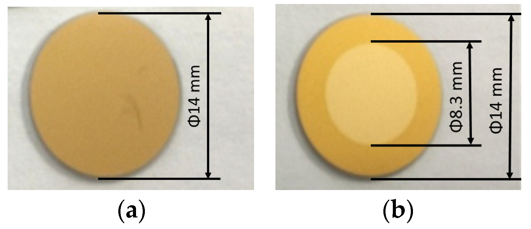 Coatings 13 00368 g010
