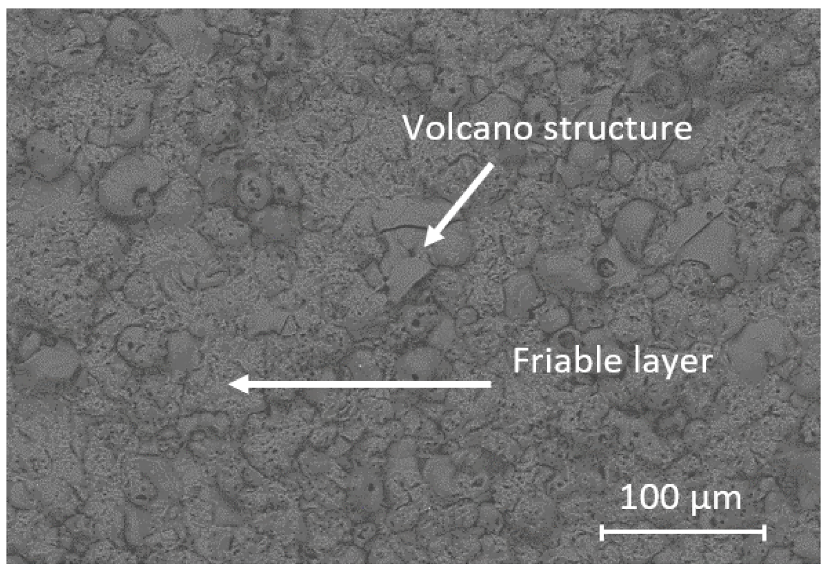 Coatings 13 00373 g001 Coatings 13 00373 g001