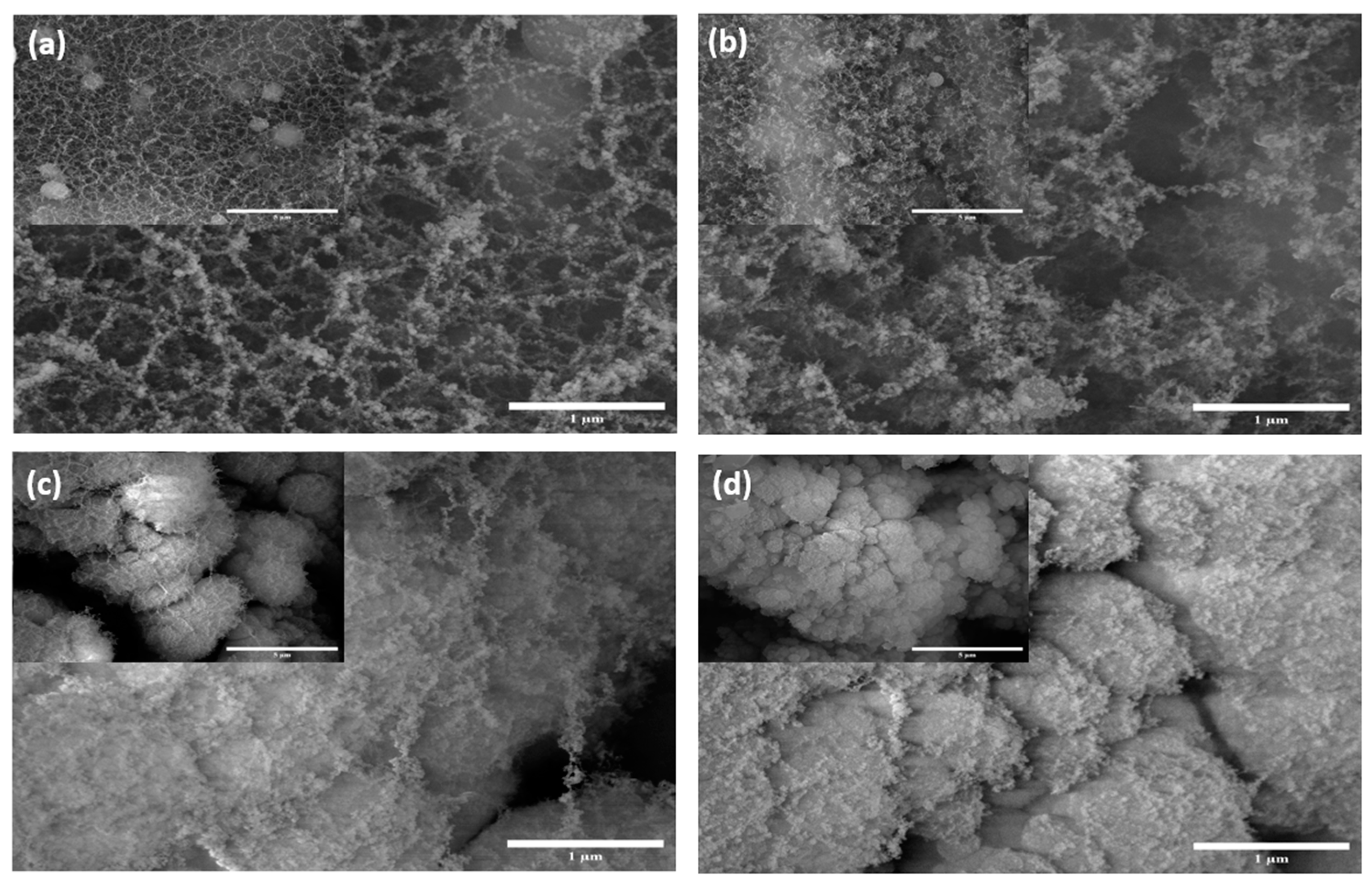 Coatings 13 00375 g002