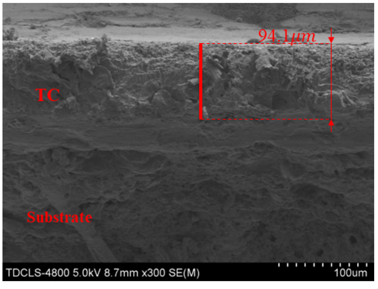 Coatings 13 00376 g005 550