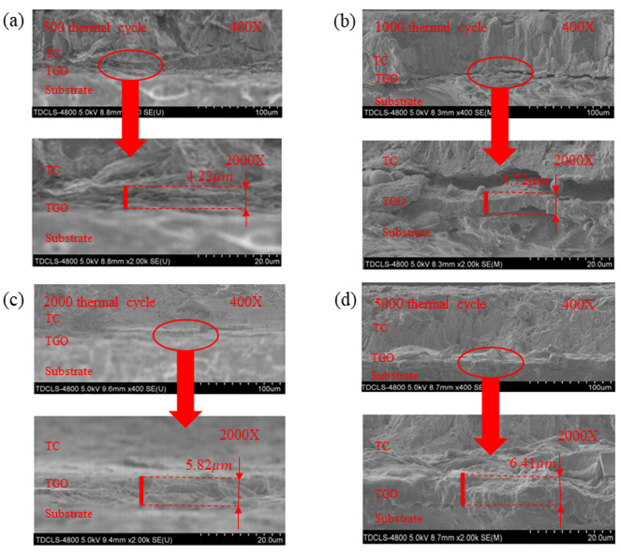 Coatings 13 00376 g008 550