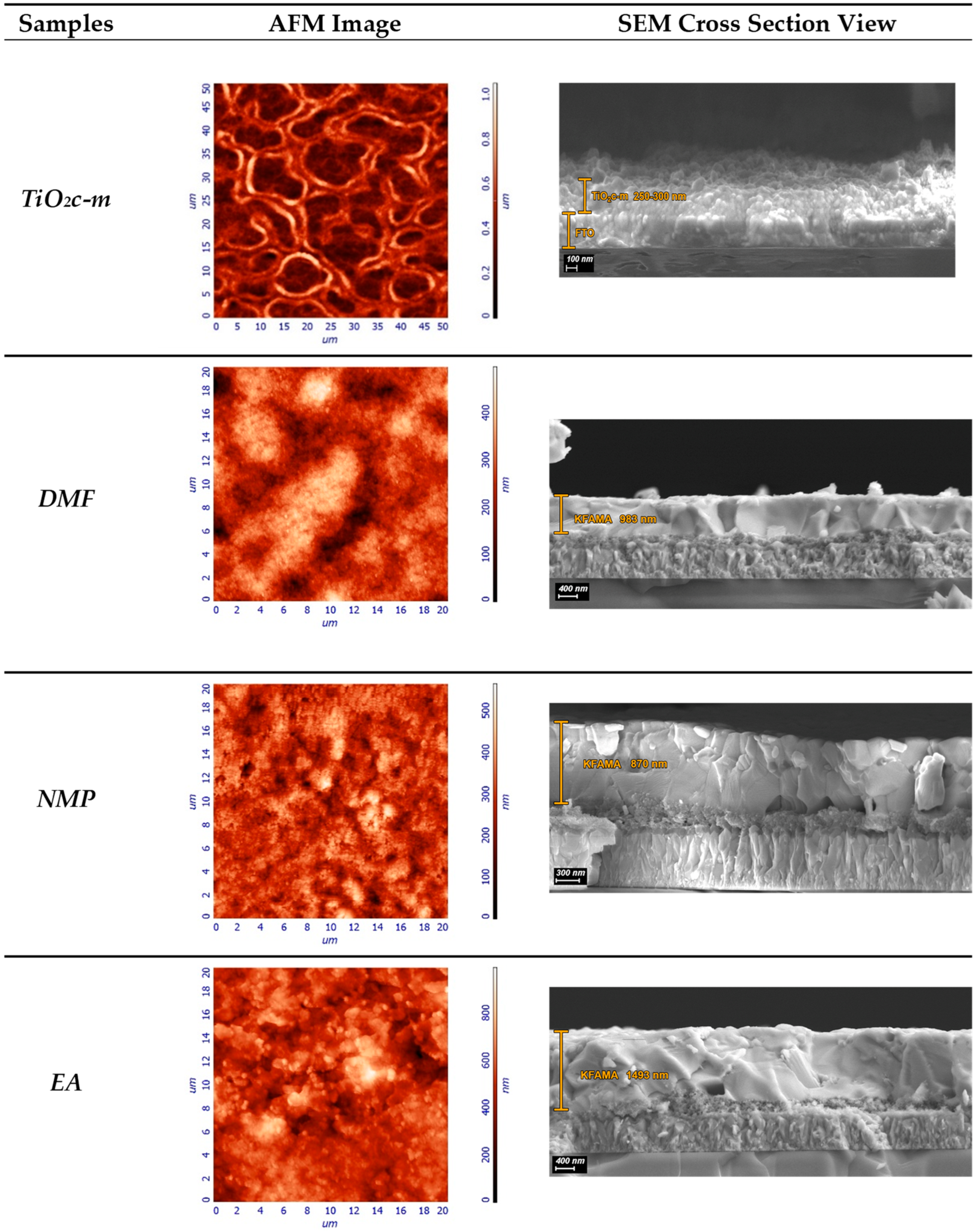 Coatings 13 00378 g001 550