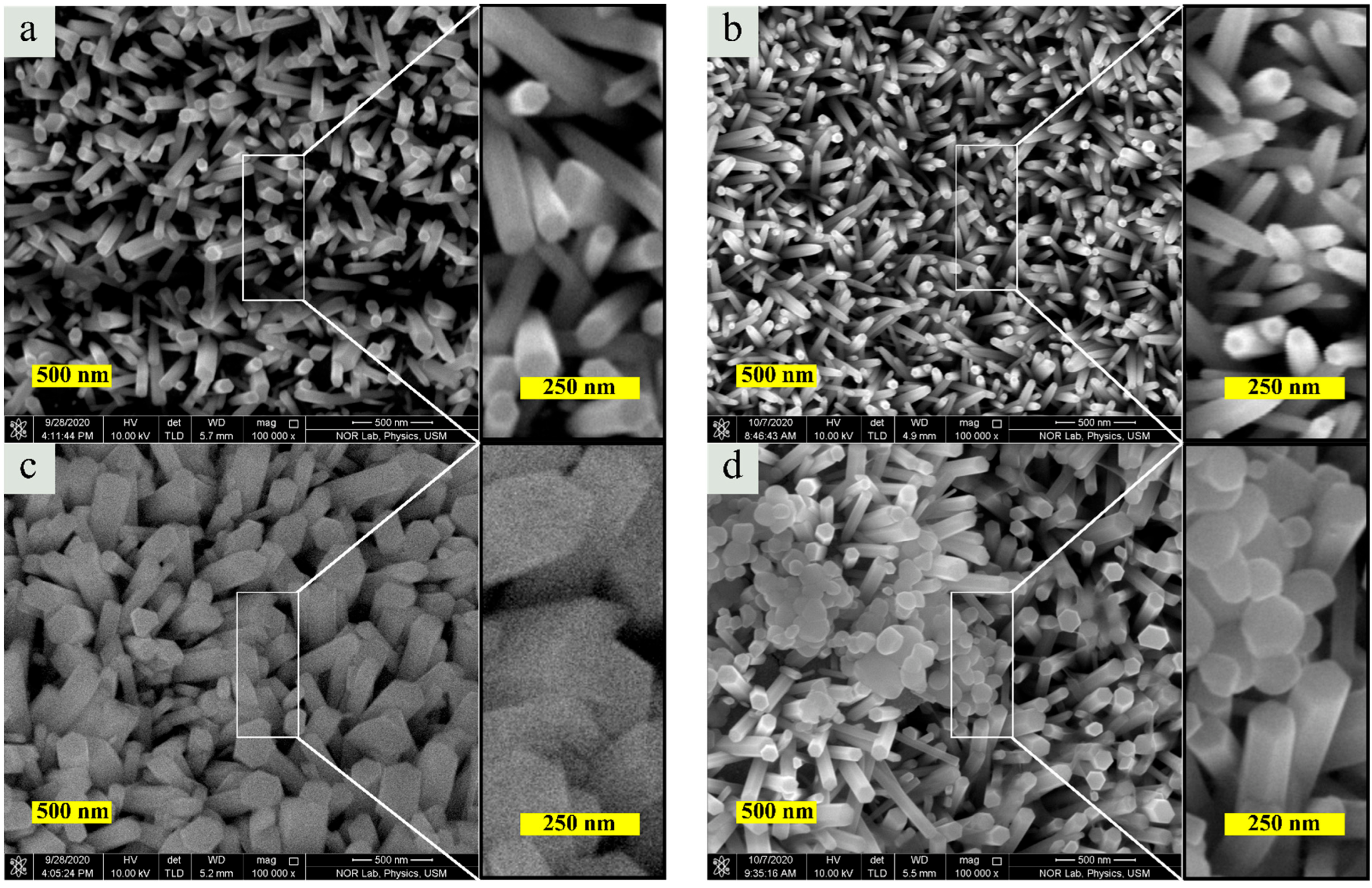 Coatings 13 00379 g002 Coatings 13 00379 g002