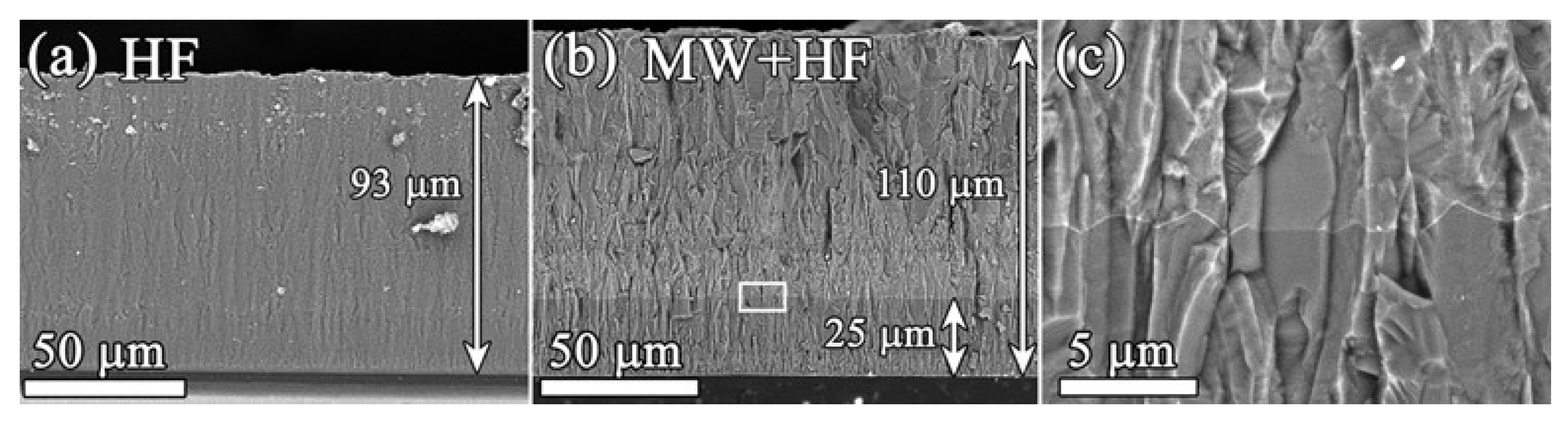 Coatings 13 00380 g002