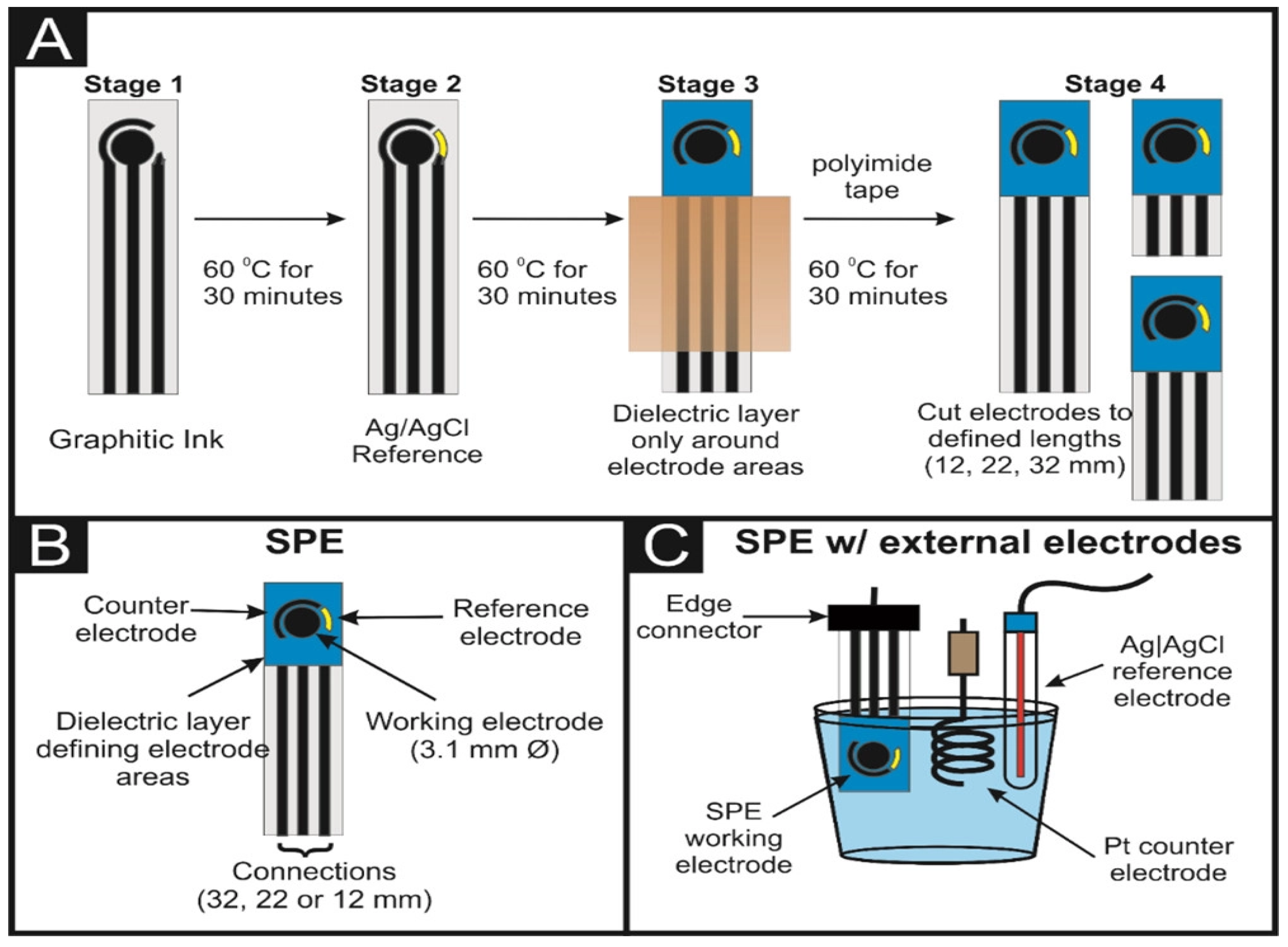 Coatings 13 00381 g003