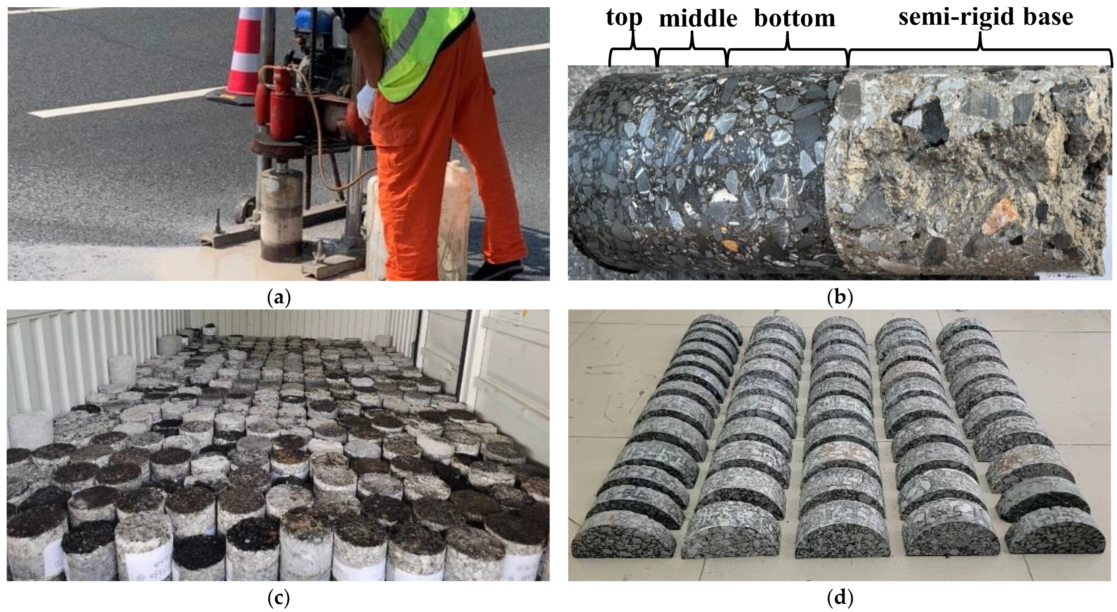 Coatings 13 00384 g002 550