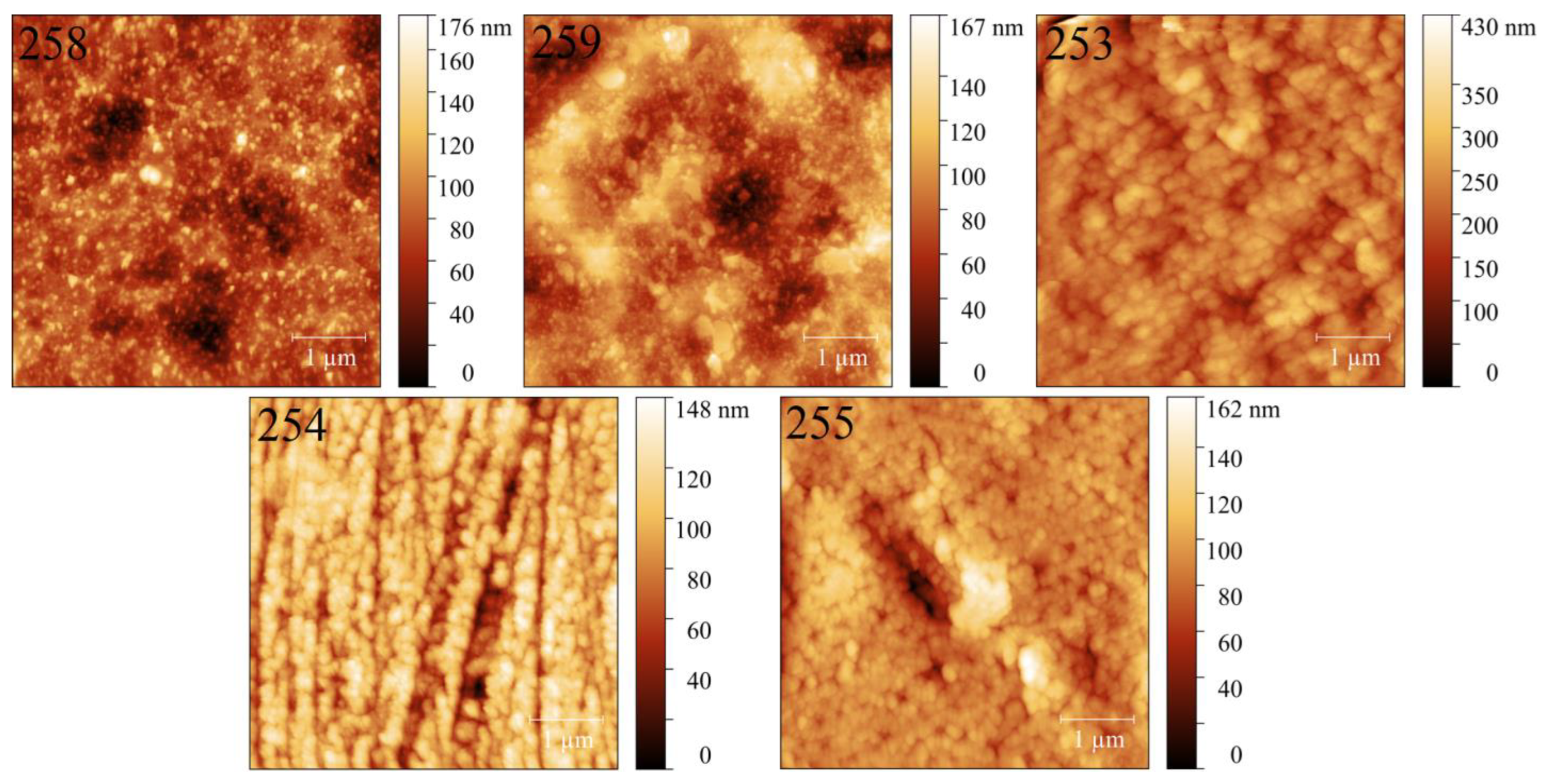 Coatings 13 00385 g002 550