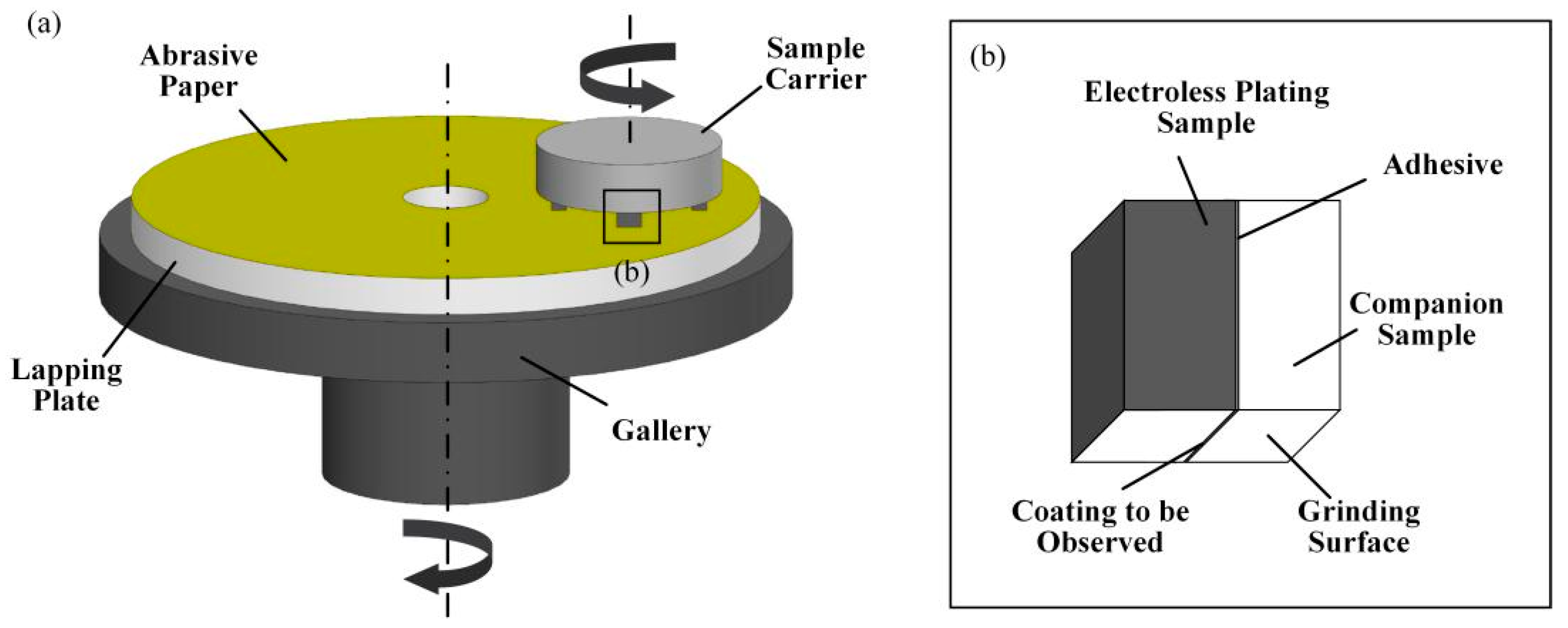 Coatings 13 00388 g002