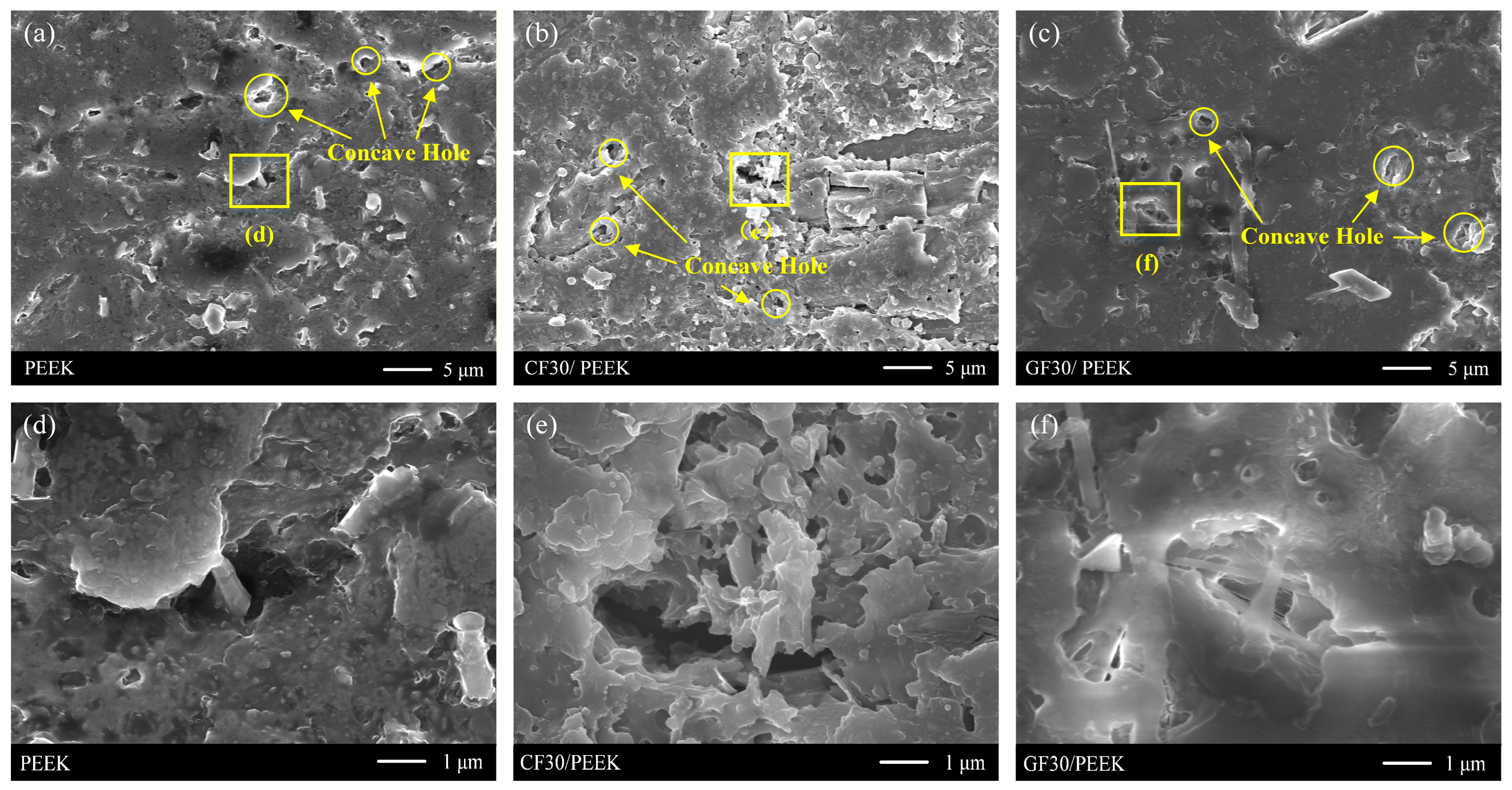 Coatings 13 00388 g003