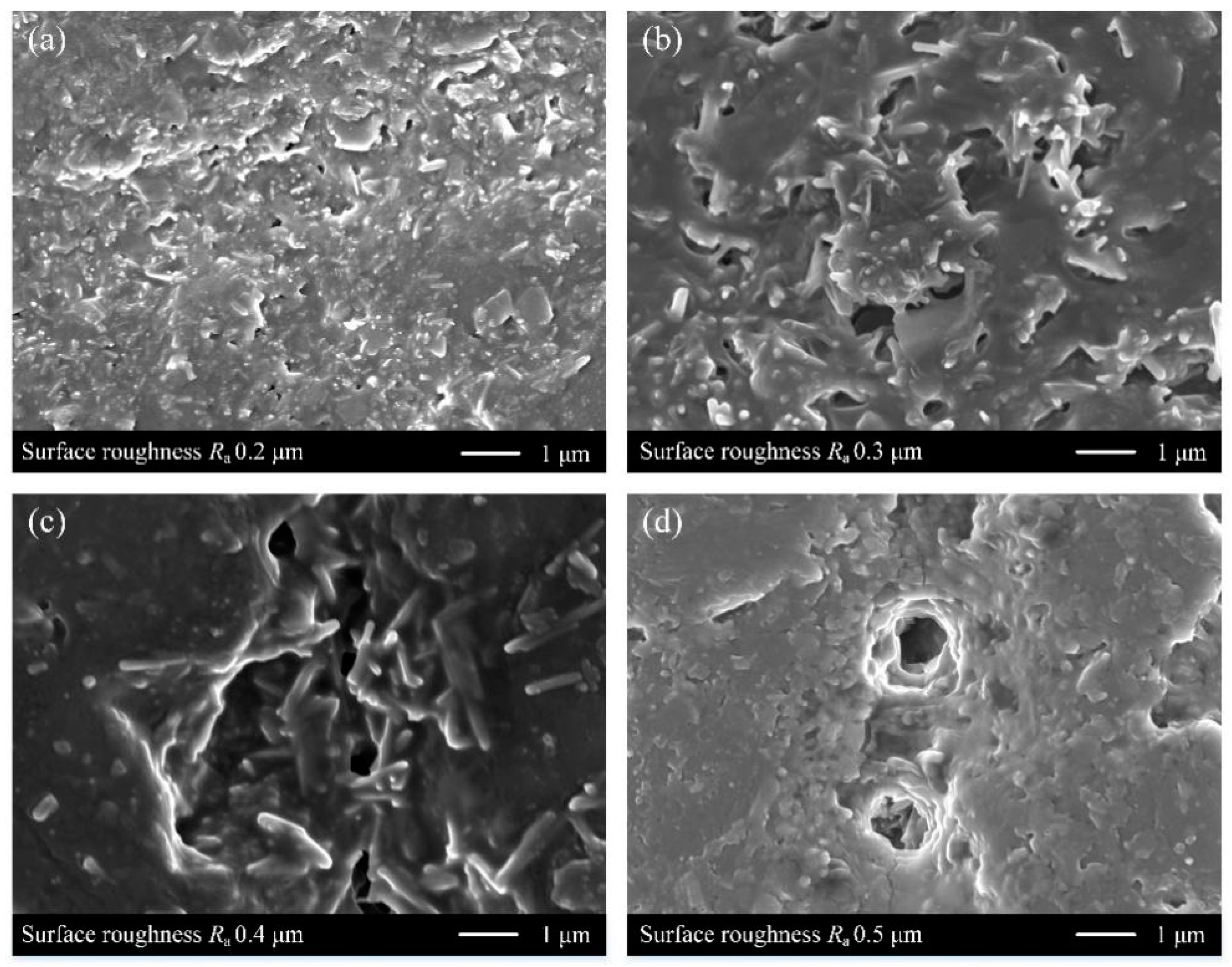 Coatings 13 00388 g008