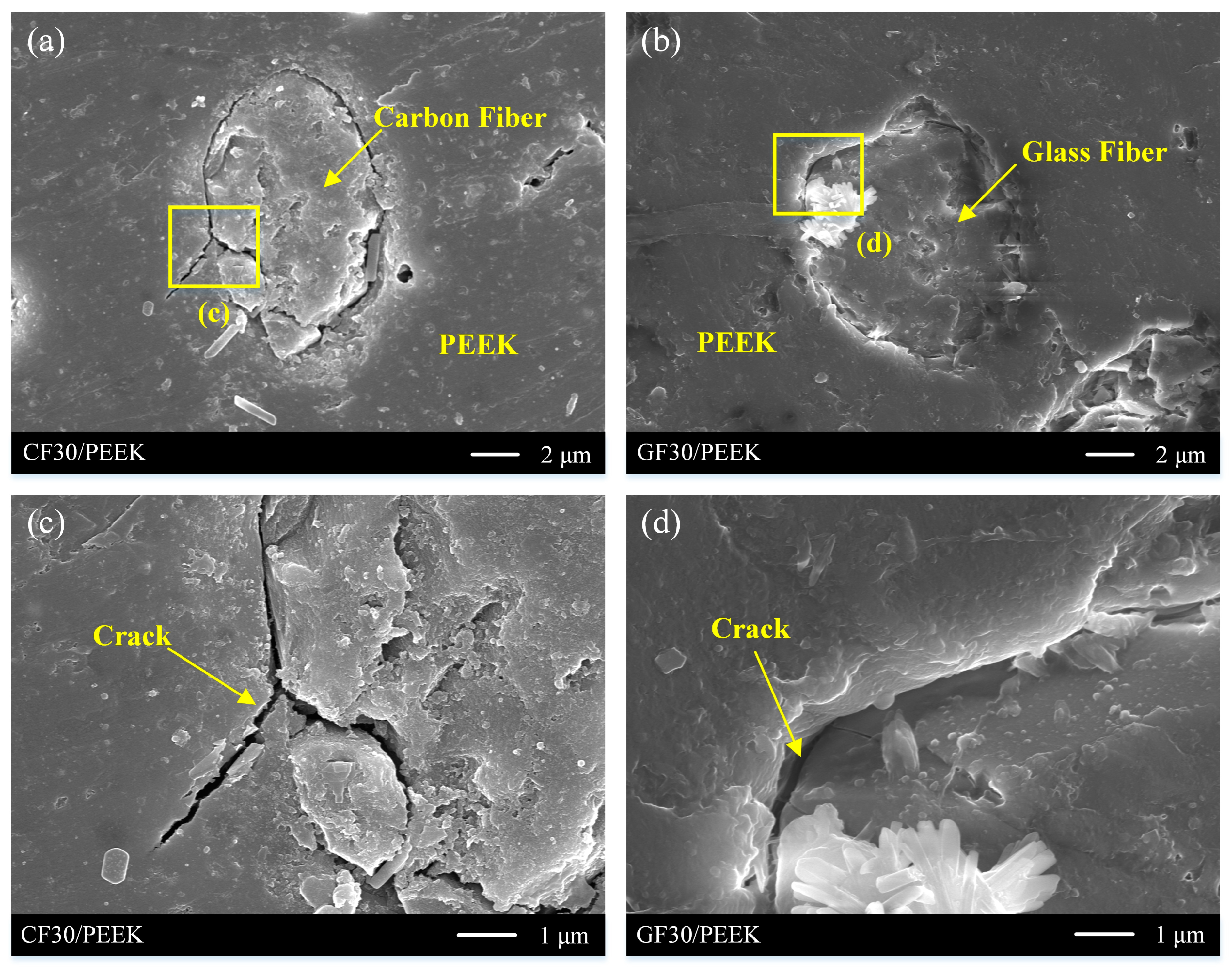 Coatings 13 00388 g009