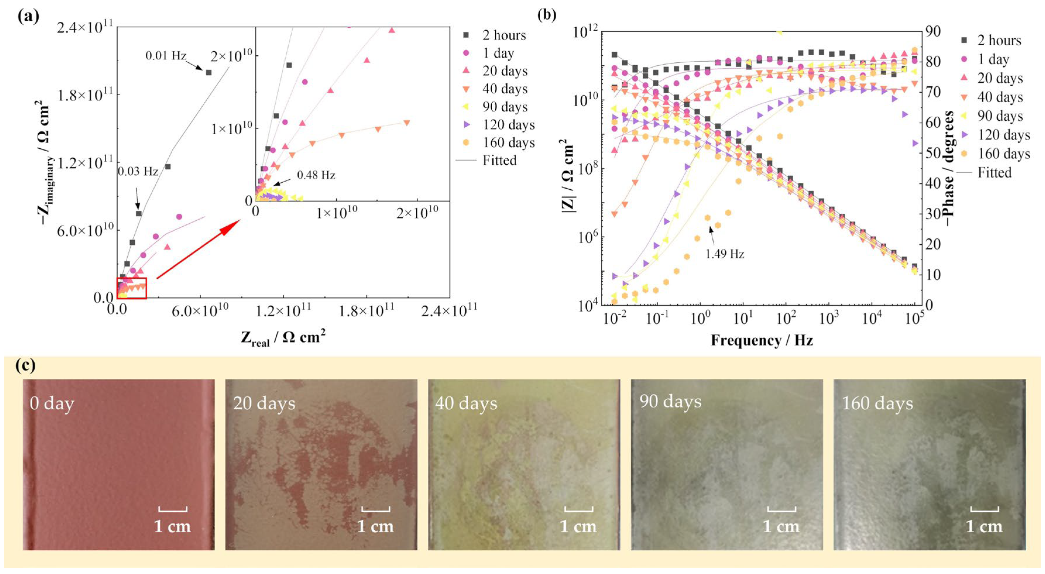 Coatings 13 00389 g001