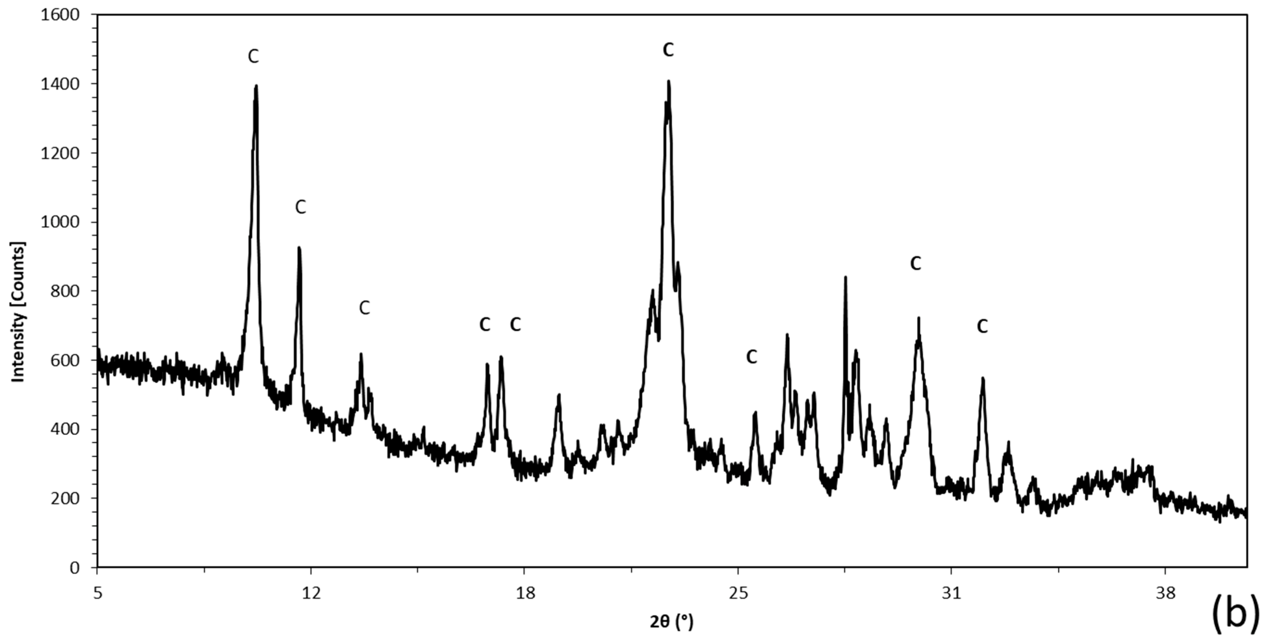 Coatings 13 00392 g003b