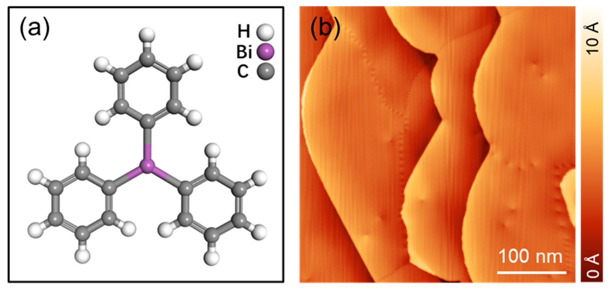 Coatings 13 00394 g001a