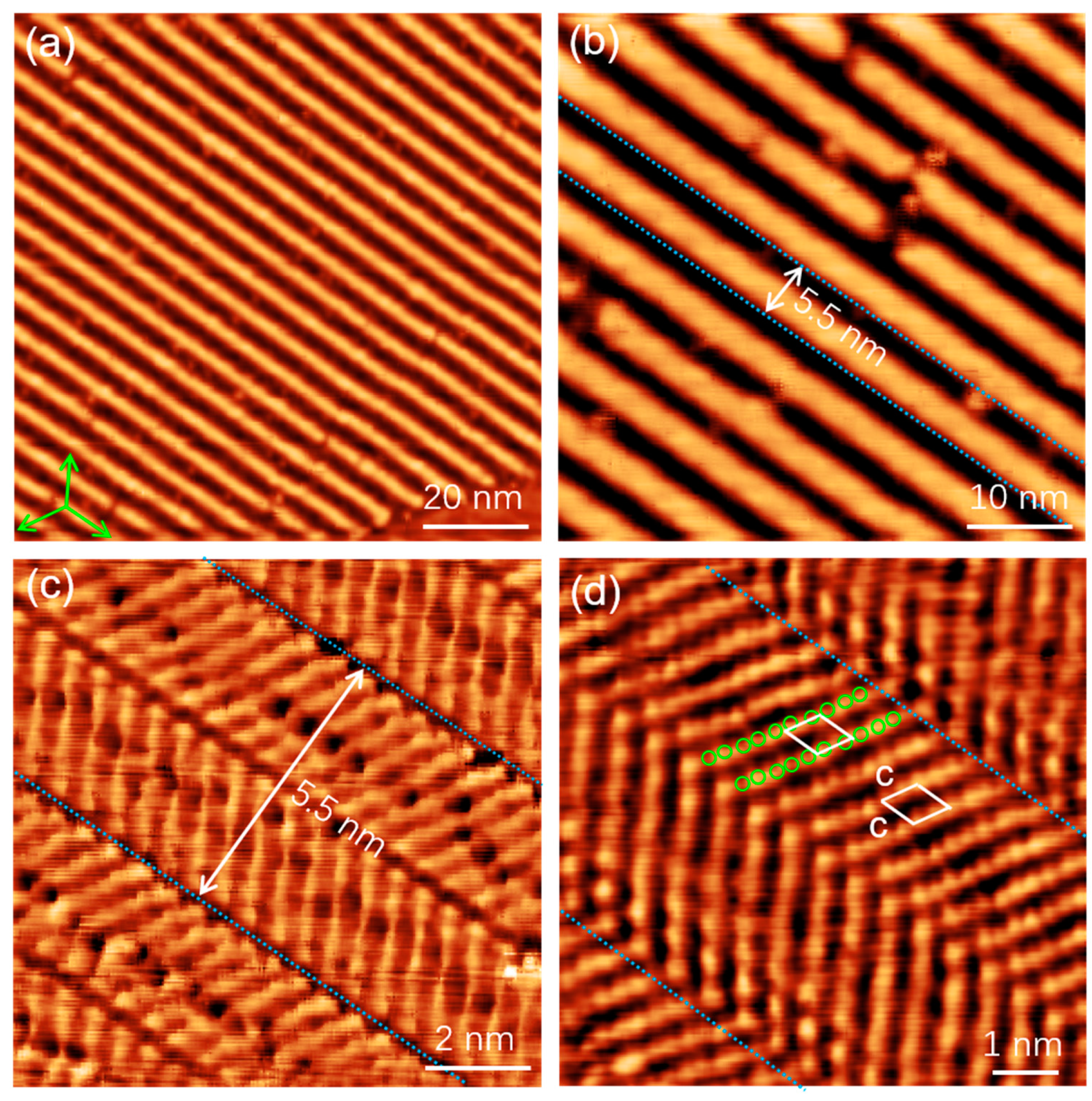 Coatings 13 00394 g004
