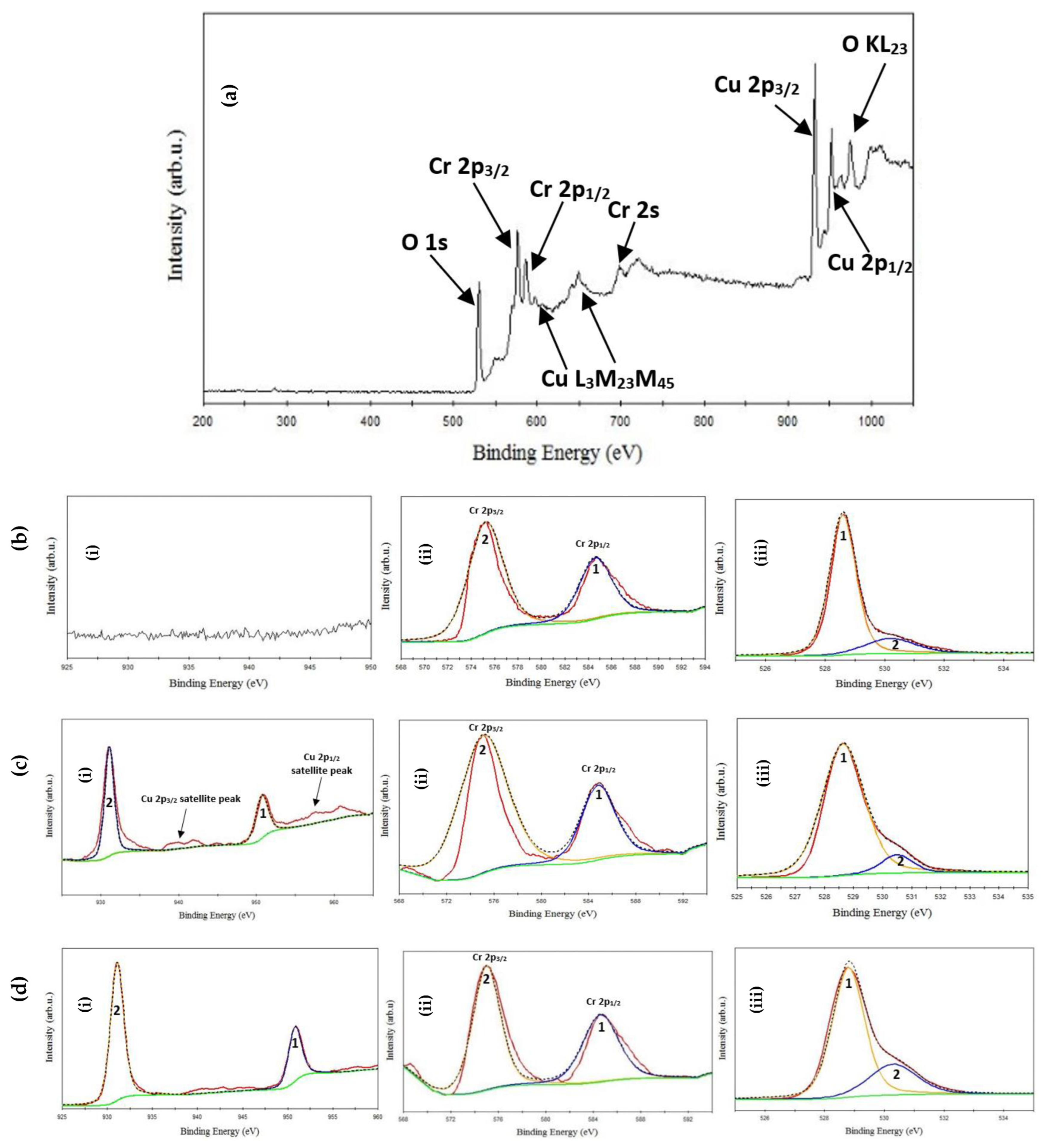 Coatings 13 00395 g003a