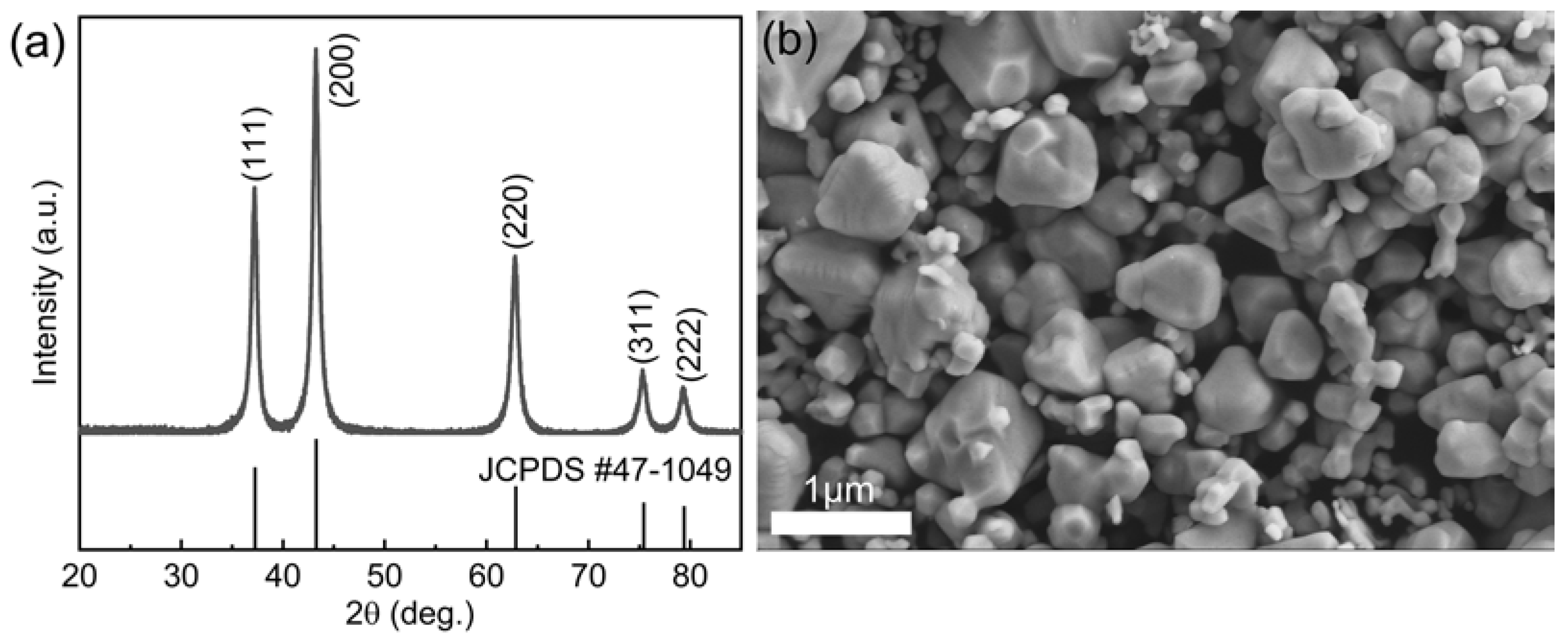 Coatings 13 00396 g002