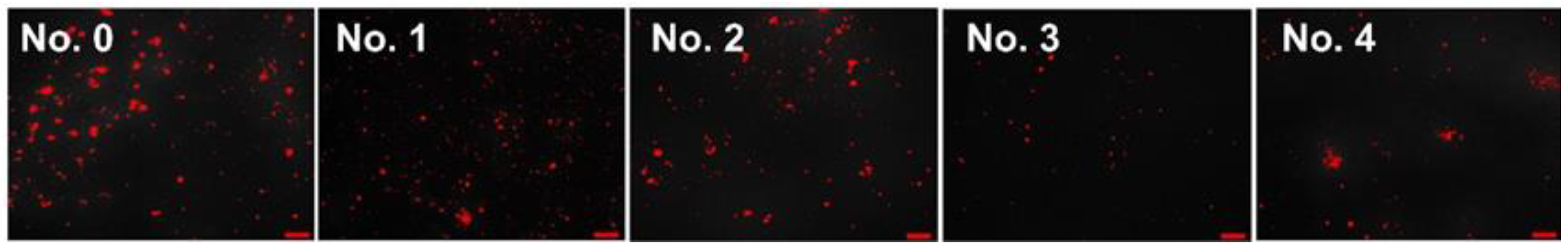 Coatings 13 00397 g004