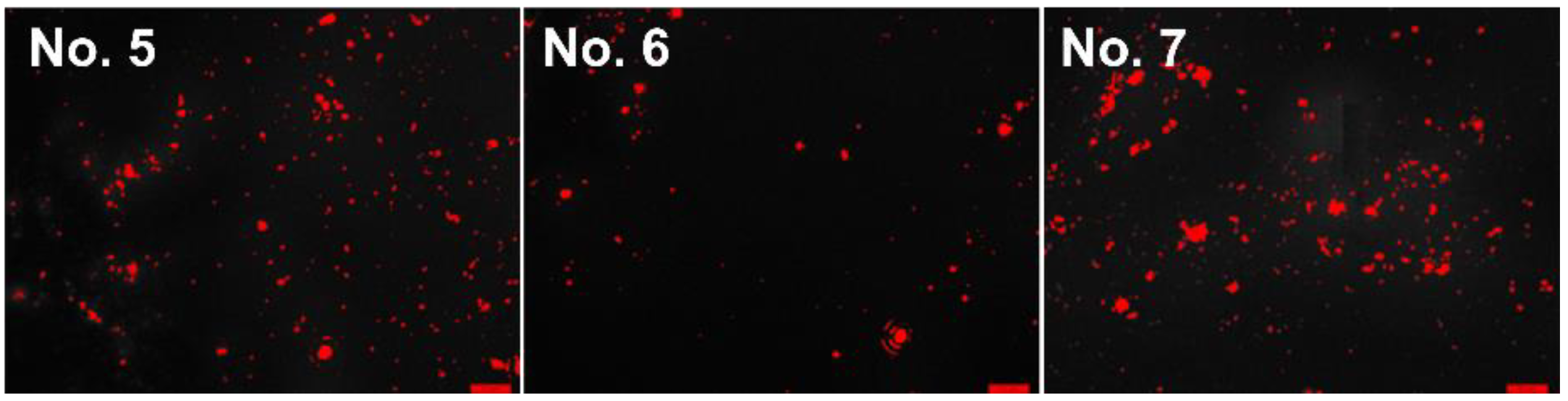 Coatings 13 00397 g006