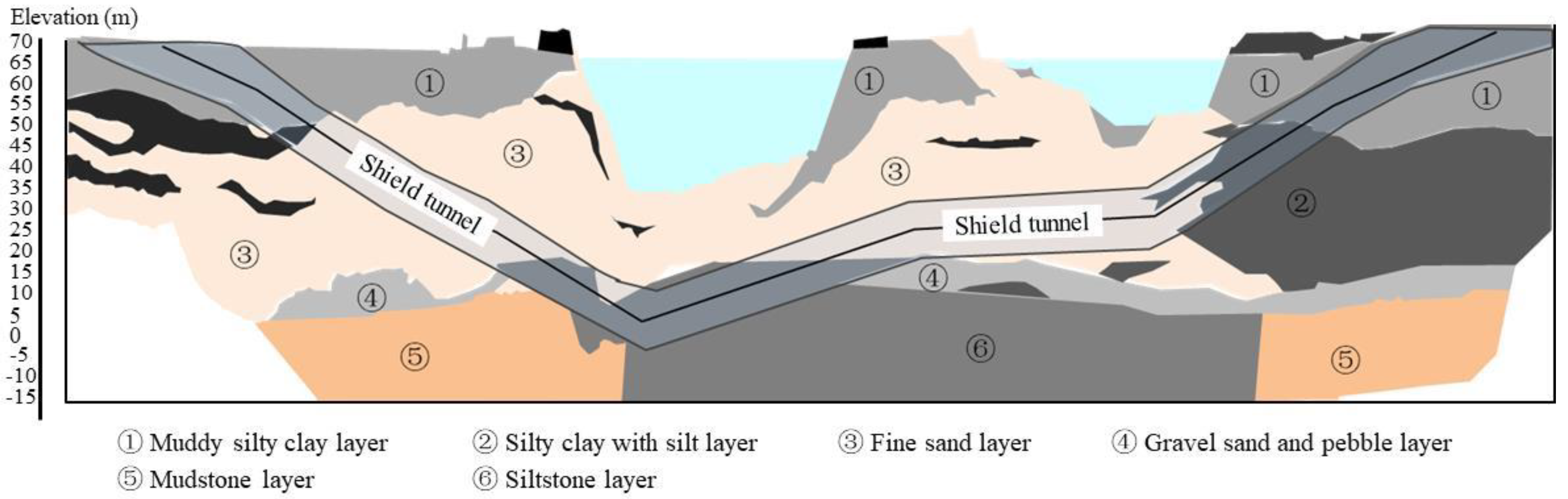 Coatings 13 00398 g002