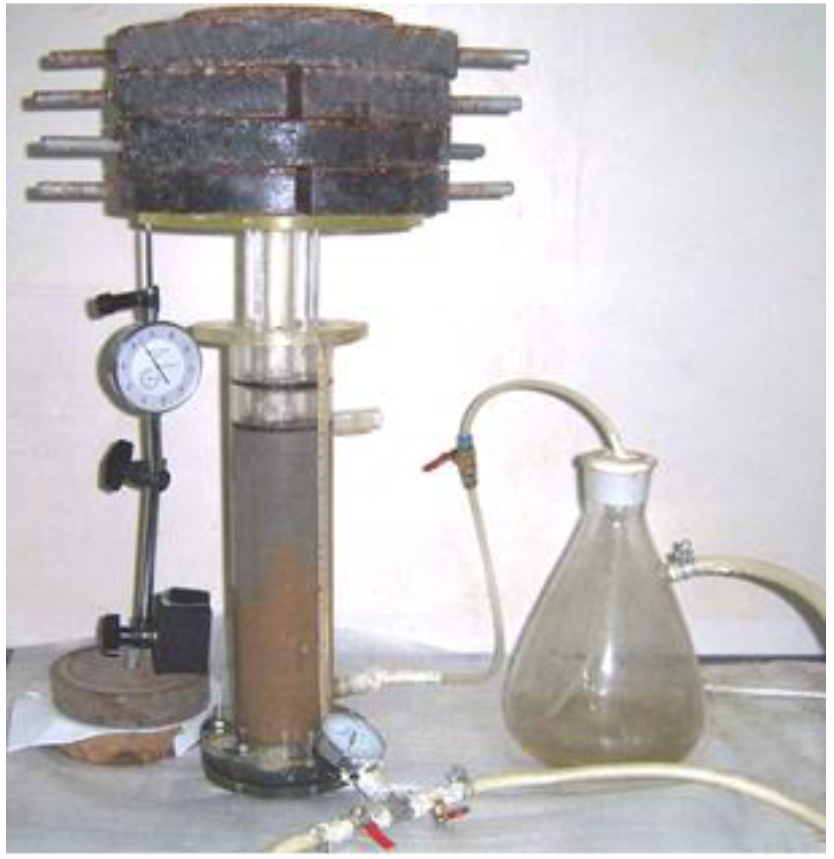 Coatings 13 00398 g005