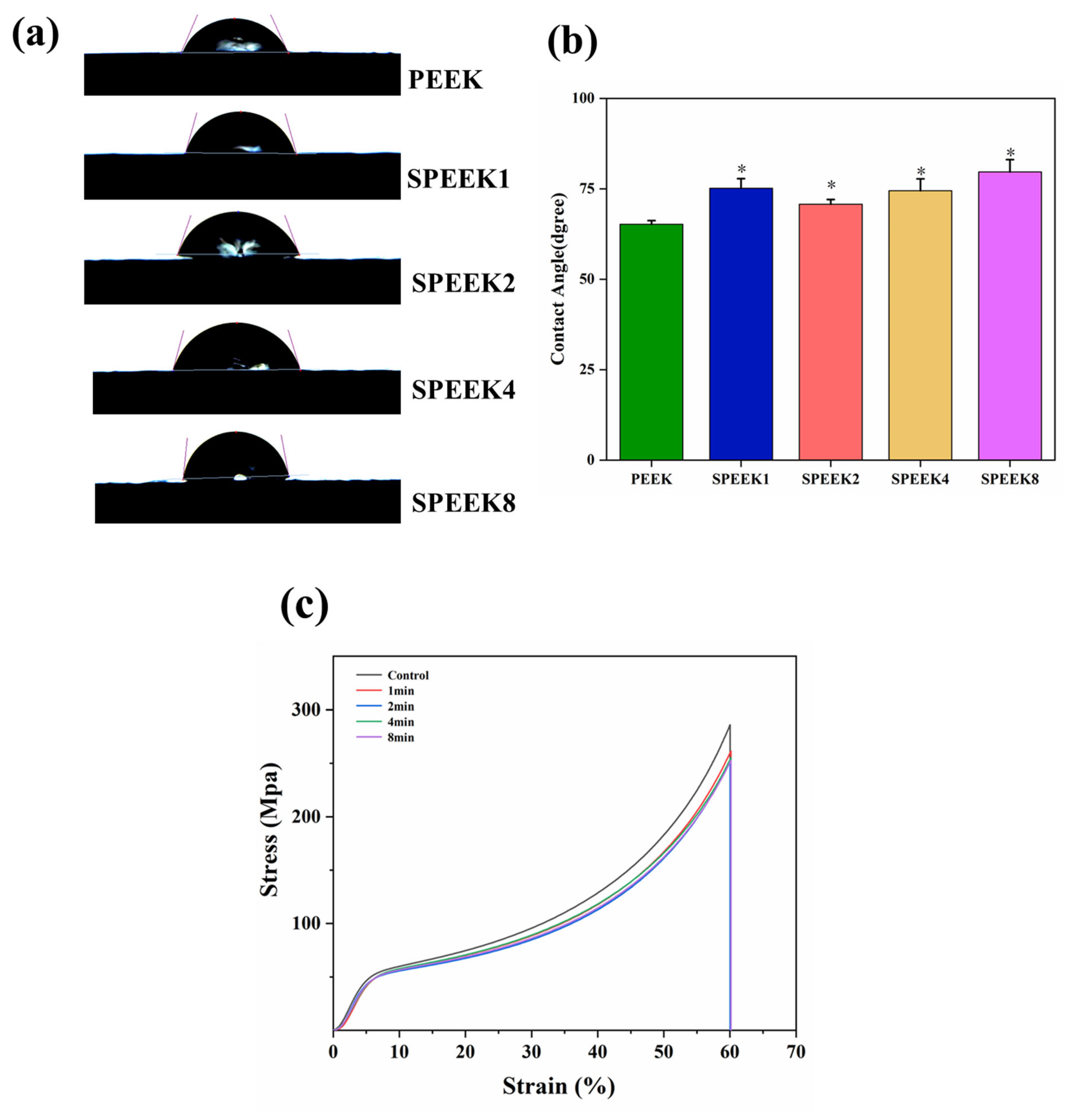 Coatings 13 00400 g004
