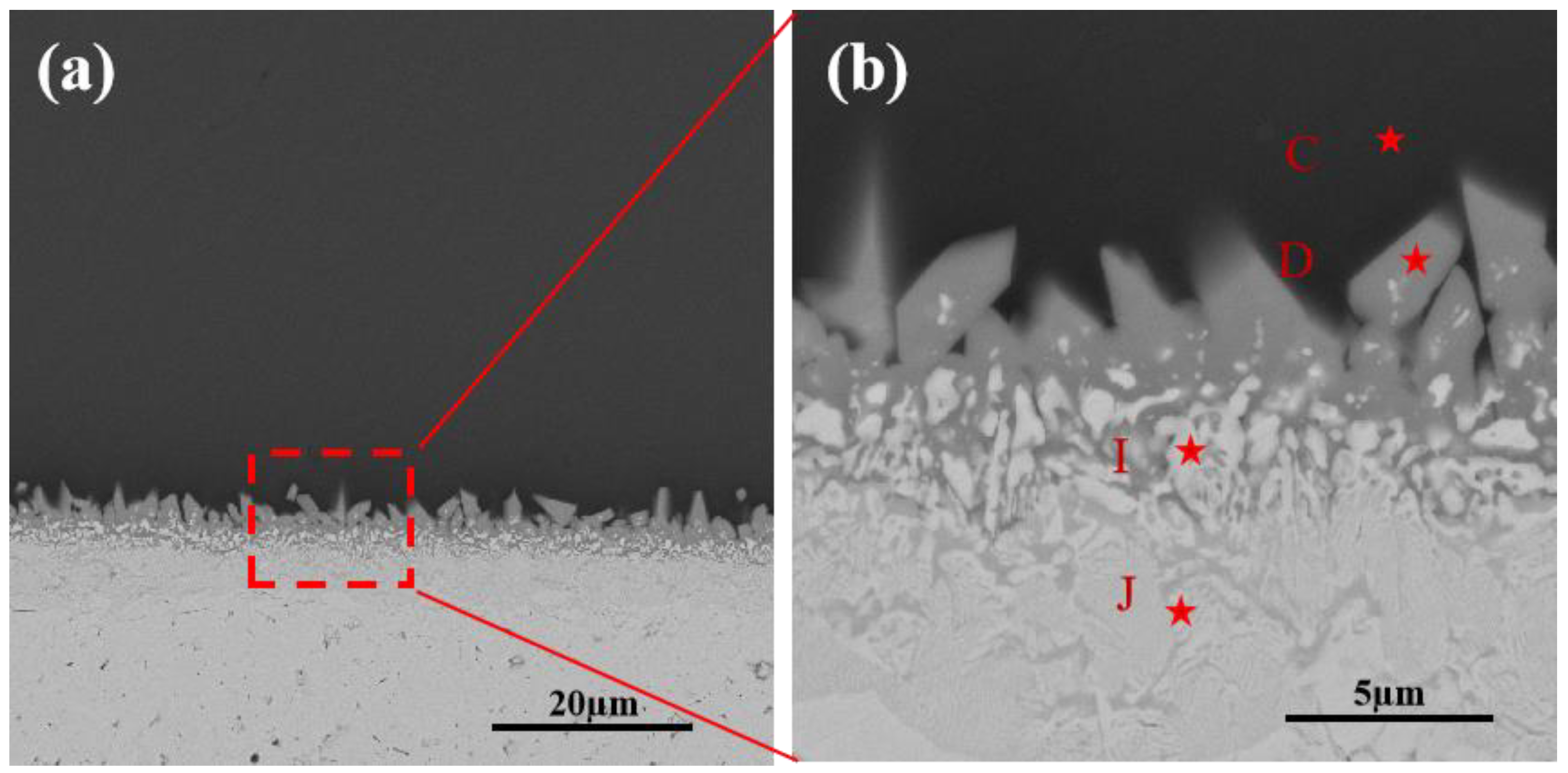 Coatings 13 00404 g010