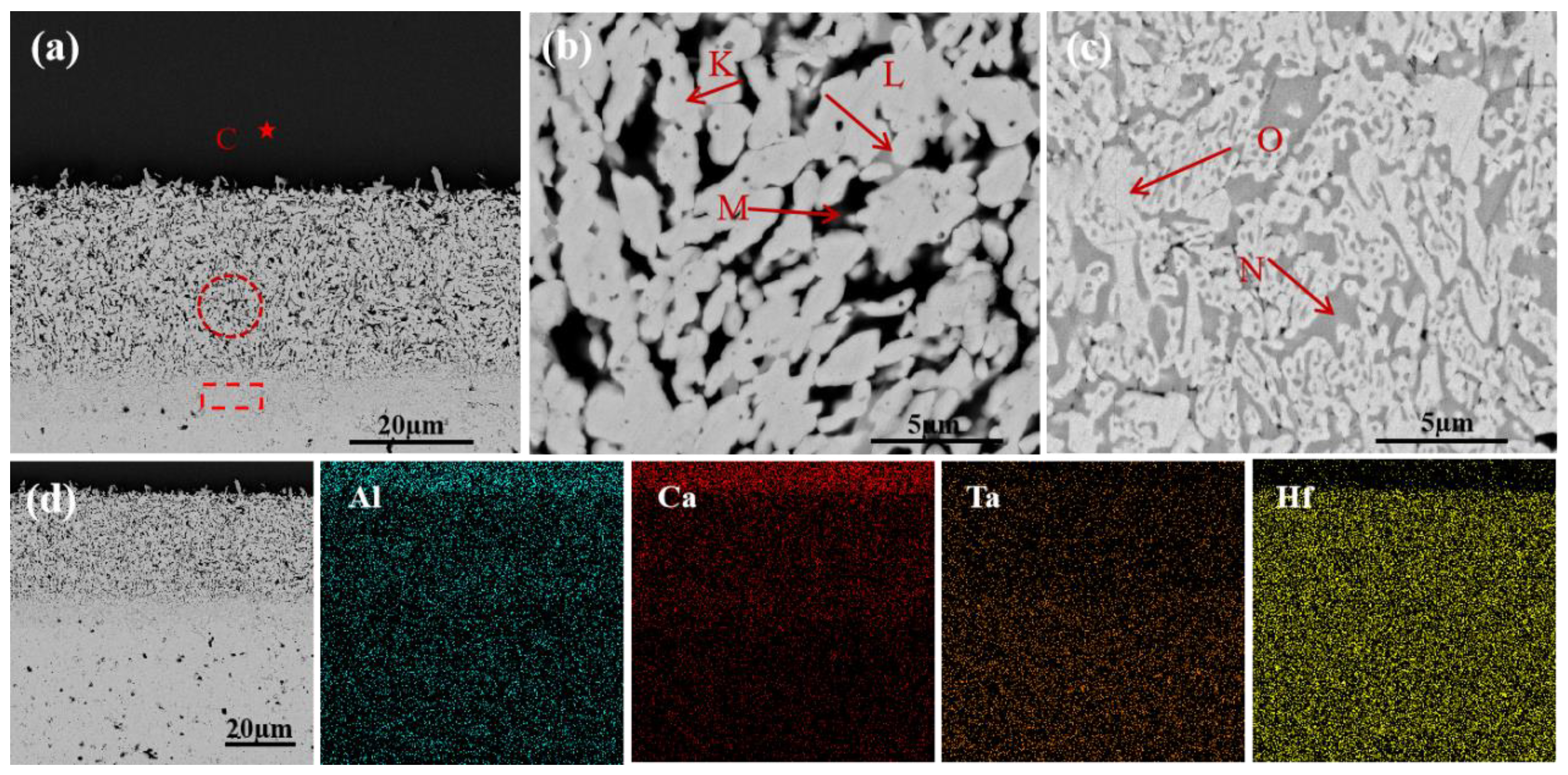 Coatings 13 00404 g011