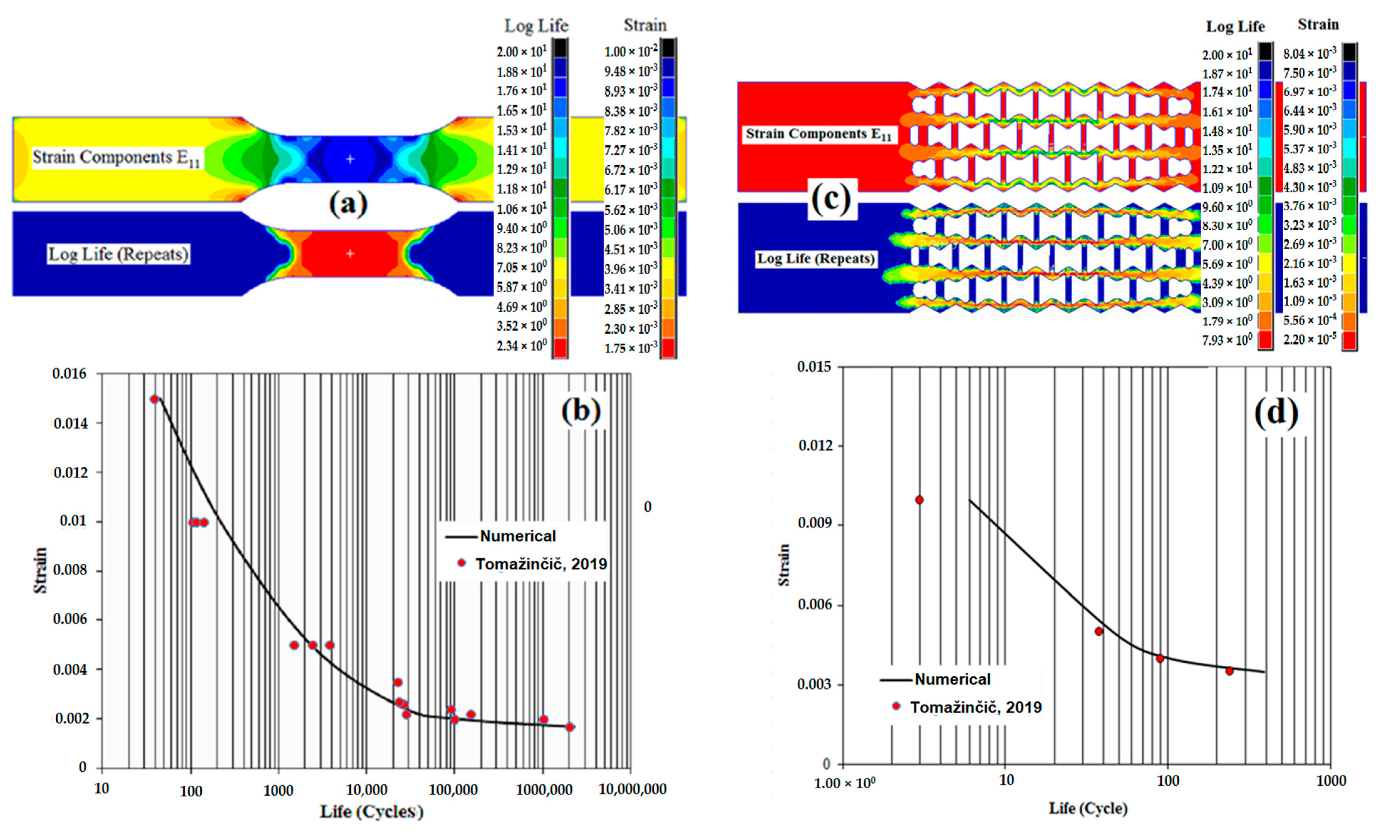 Coatings 13 00405 g005